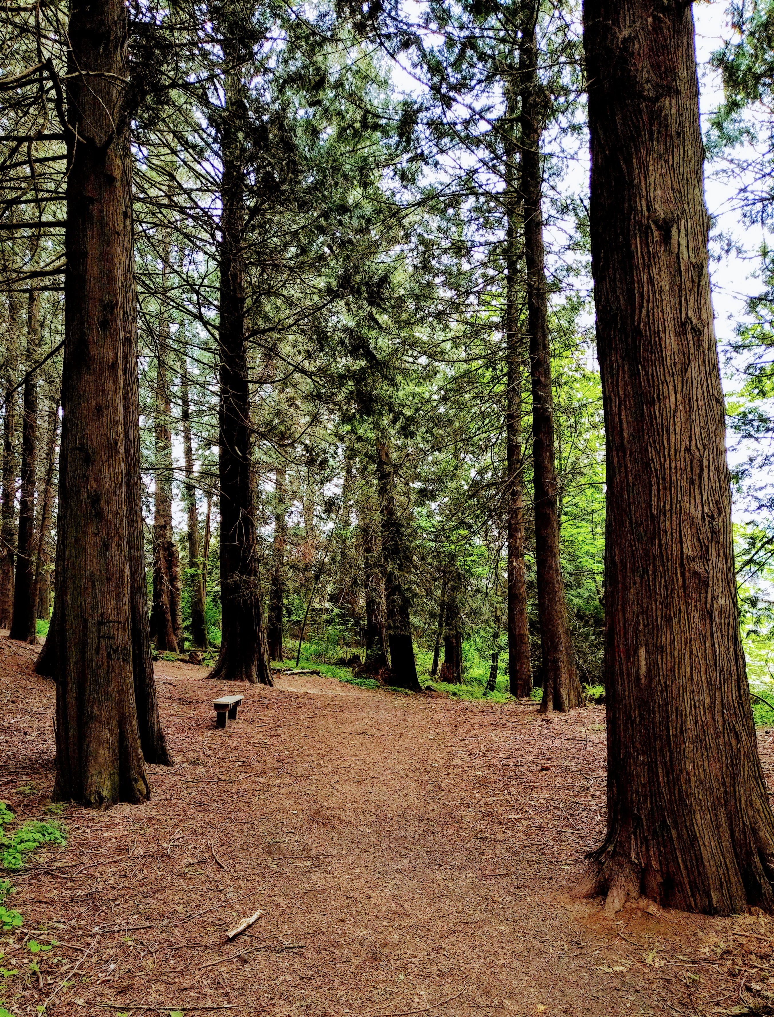 img_20190503_0751559-1