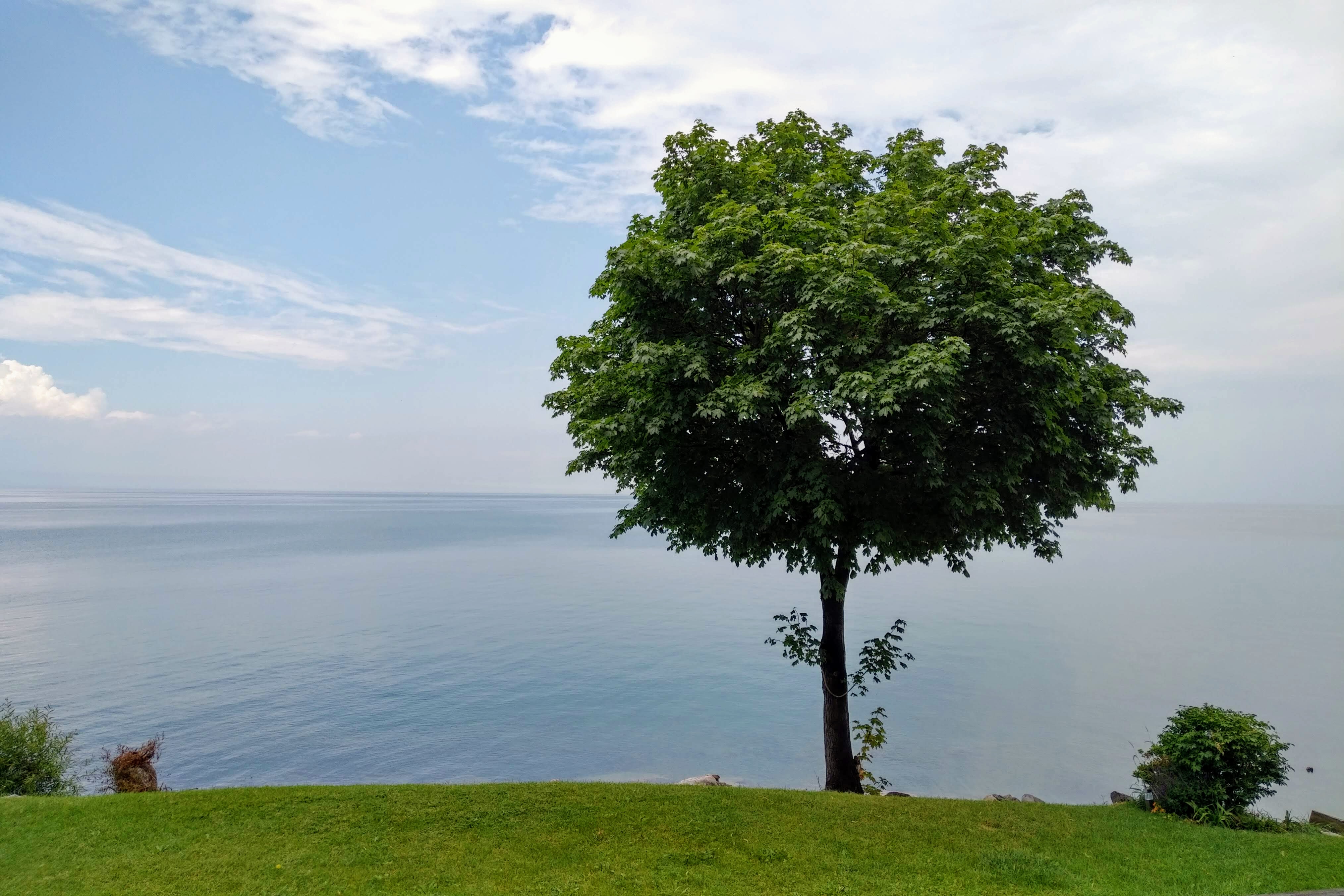 img_20190706_1504319