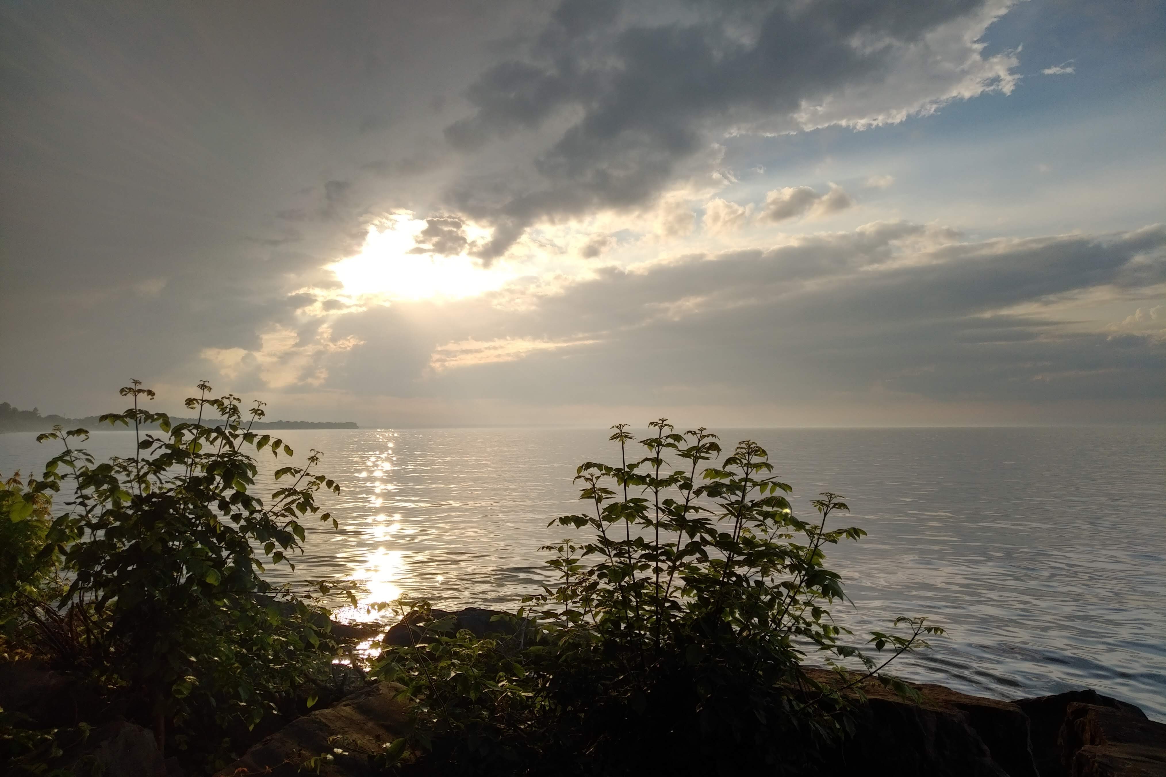 img_20190706_1948167