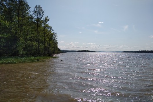 img_20190714_1635019