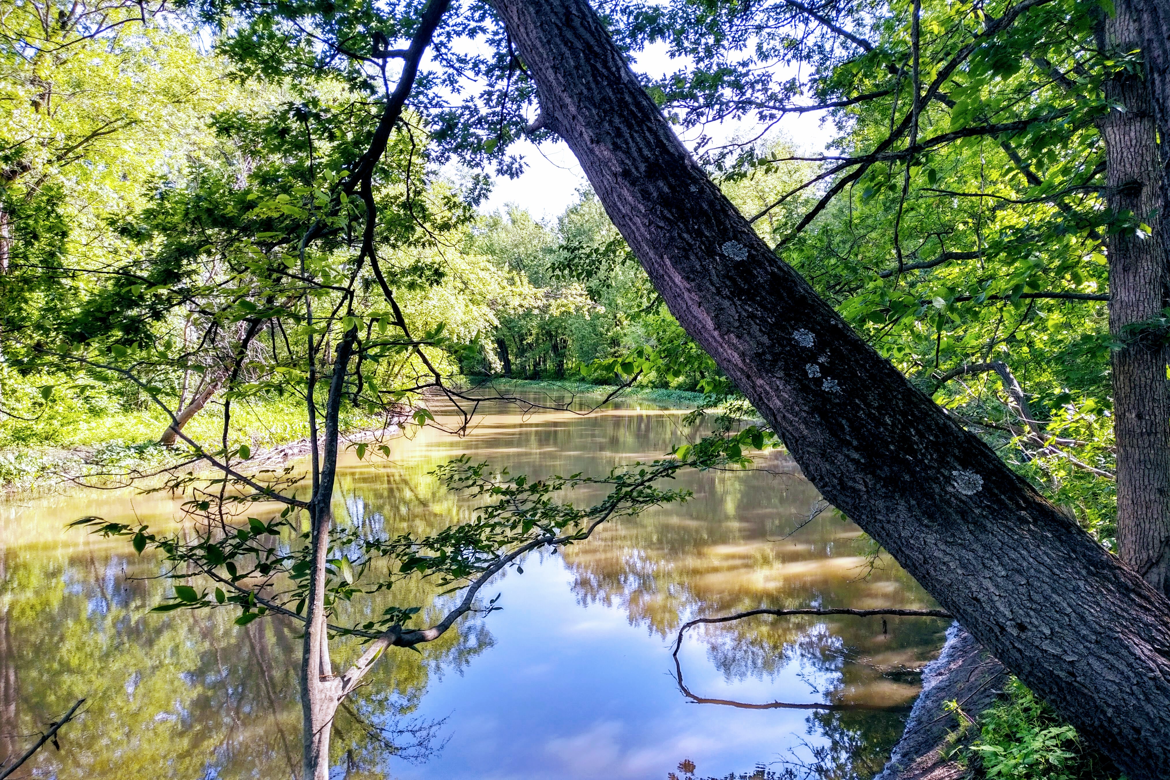 img_20190714_1702597