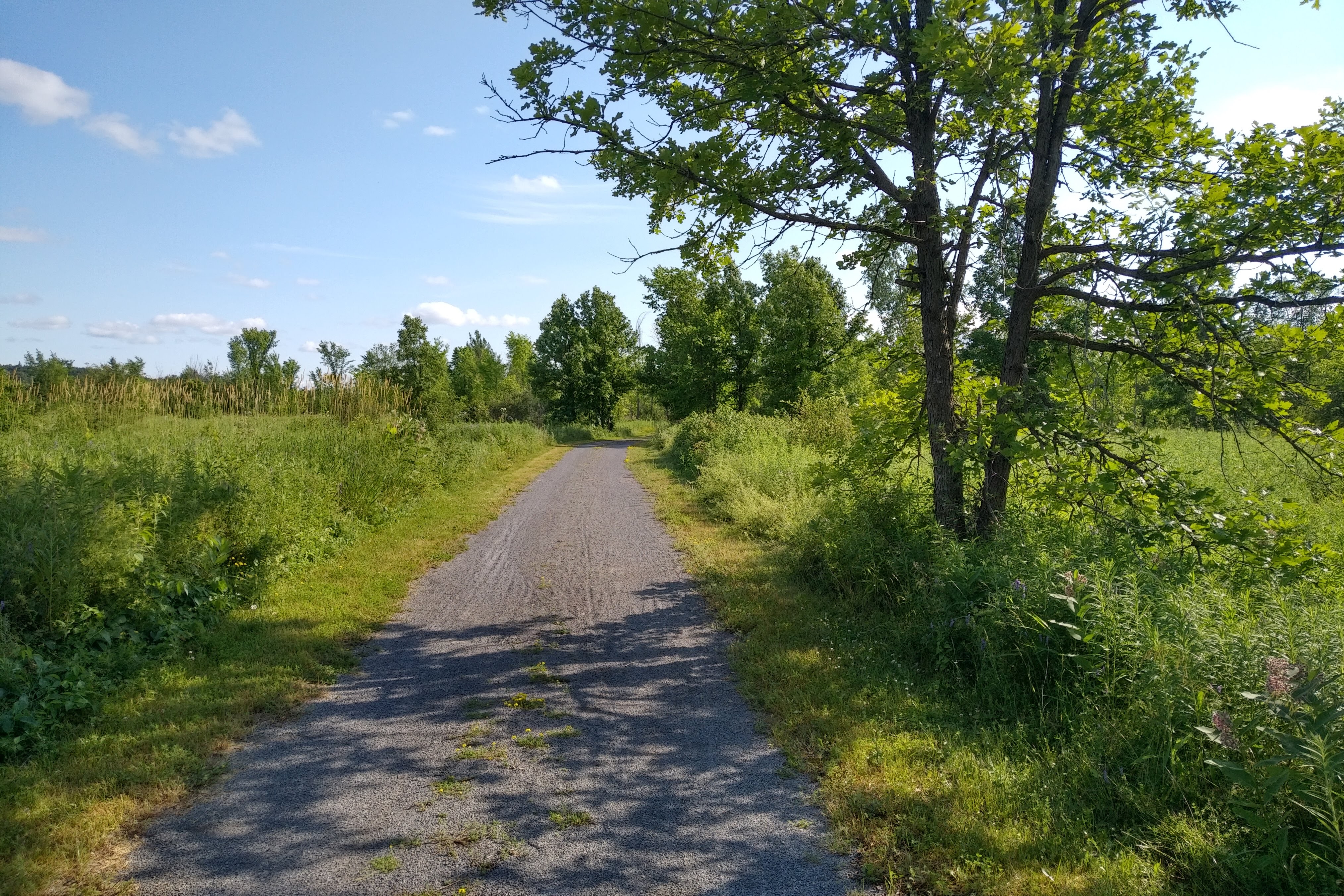 img_20190714_1712180