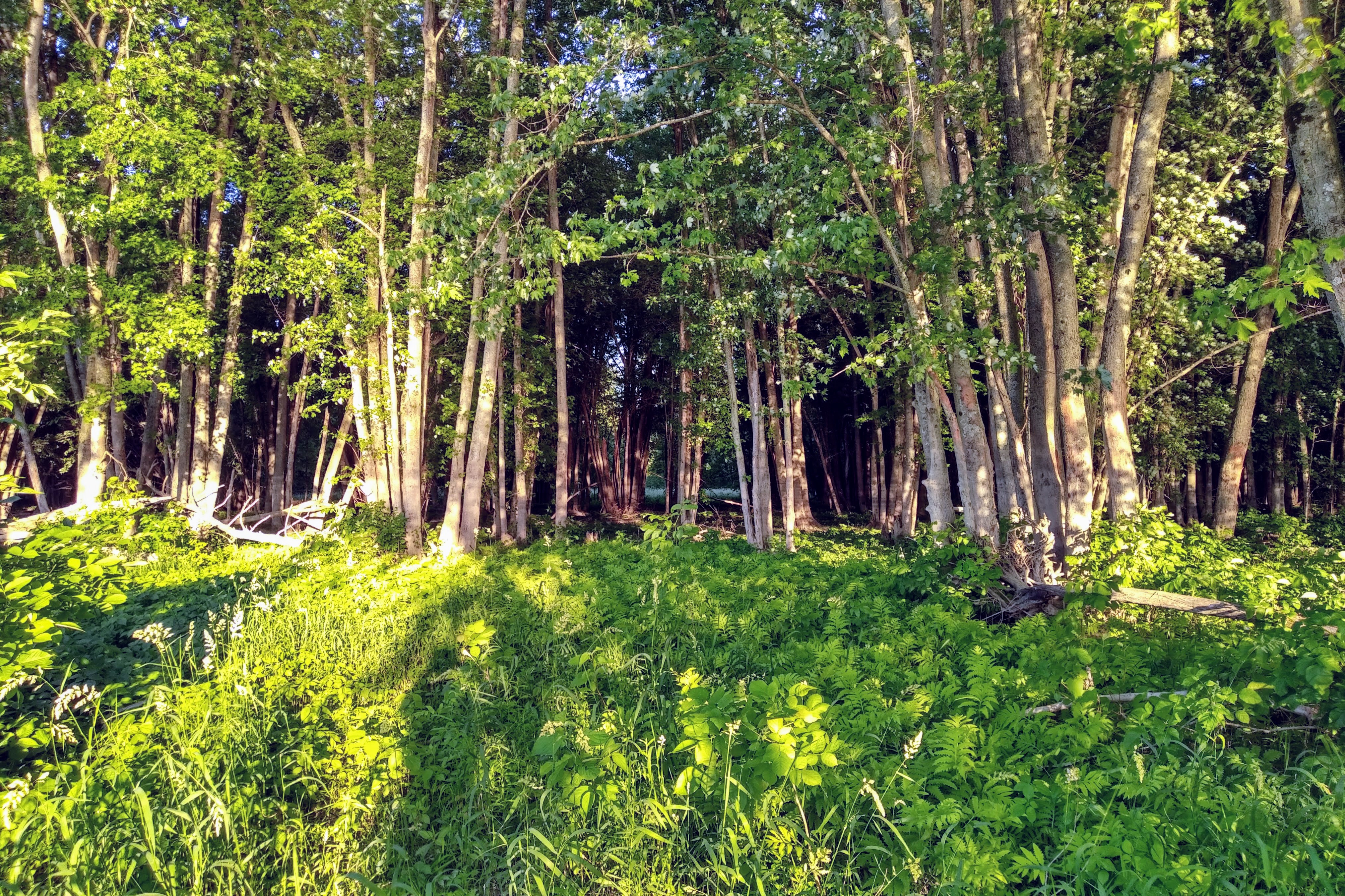 img_20190717_1941167