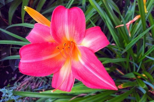 img_20190721_1940497-effects