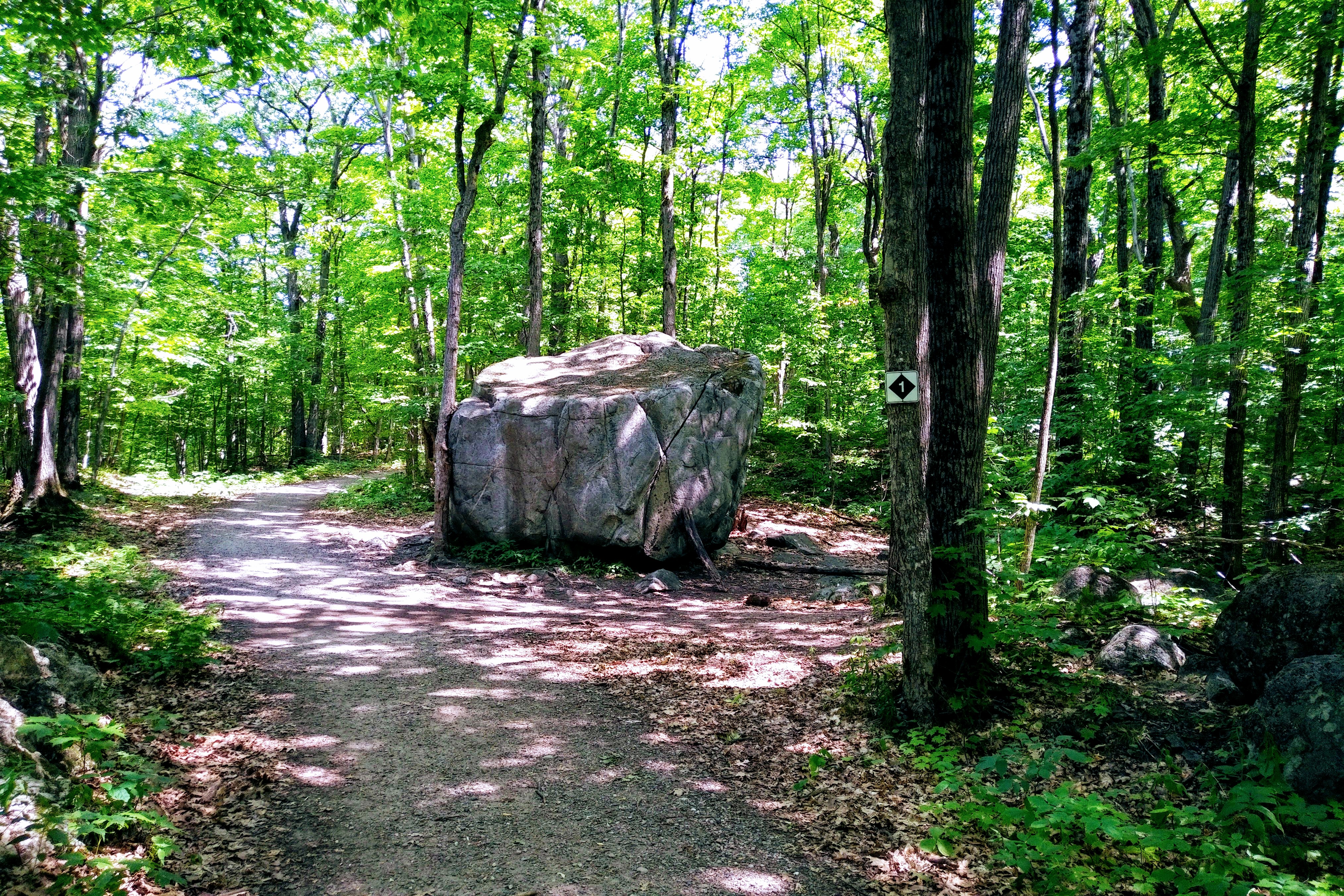 img_20190723_1244439