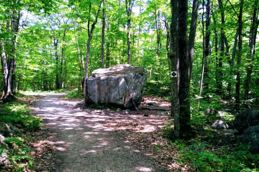 img_20190723_1244439