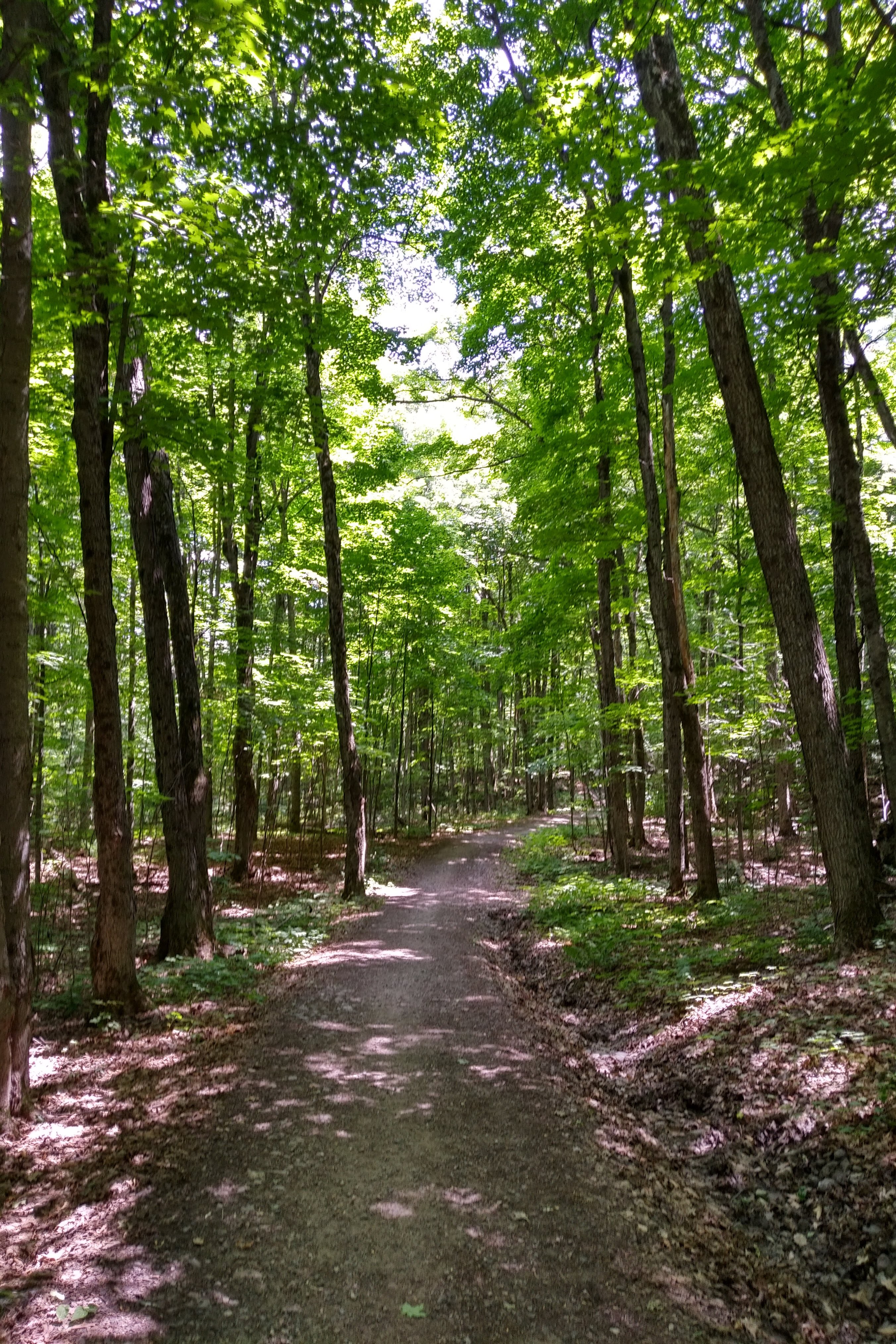 img_20190723_1314598