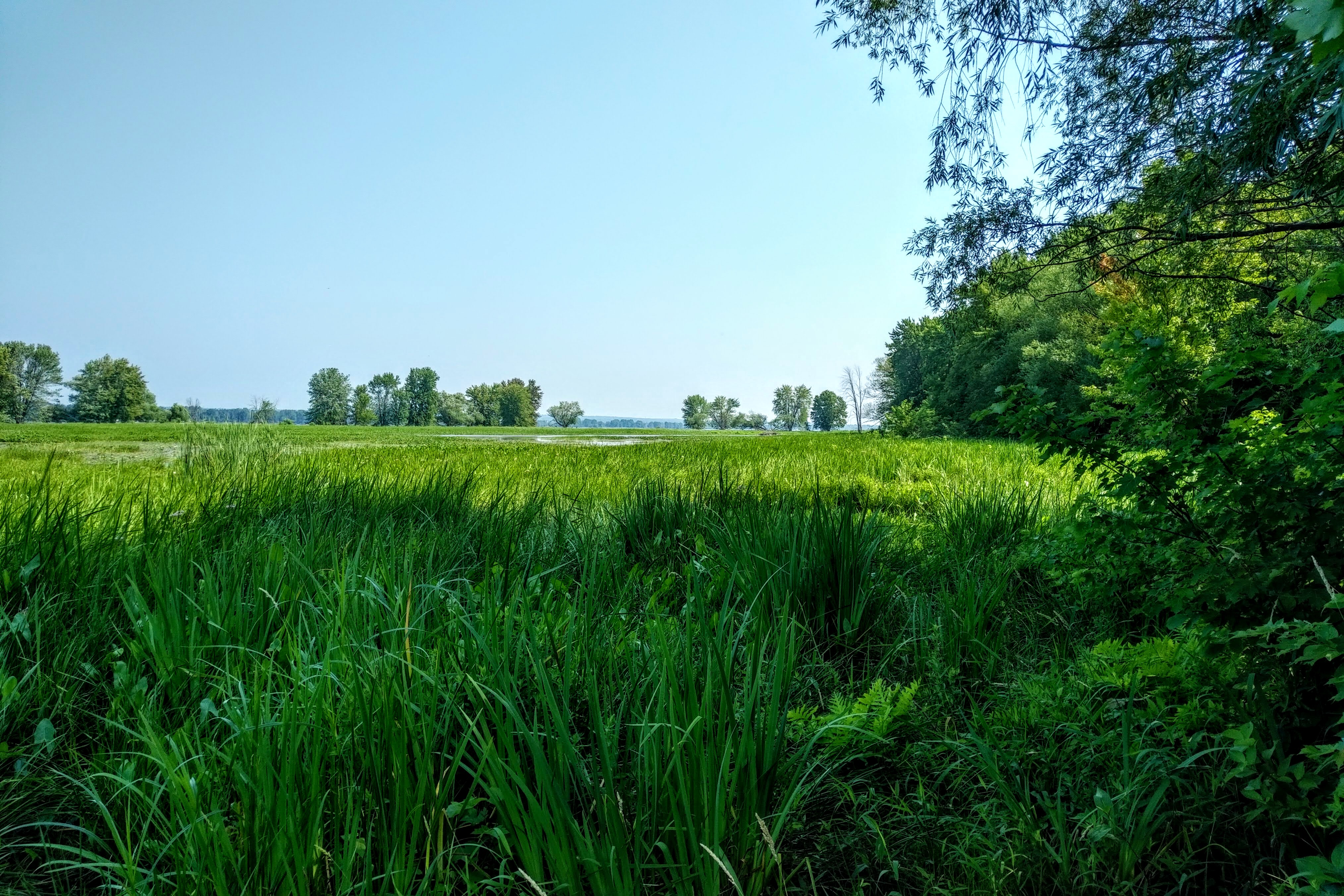 img_20190727_1059442