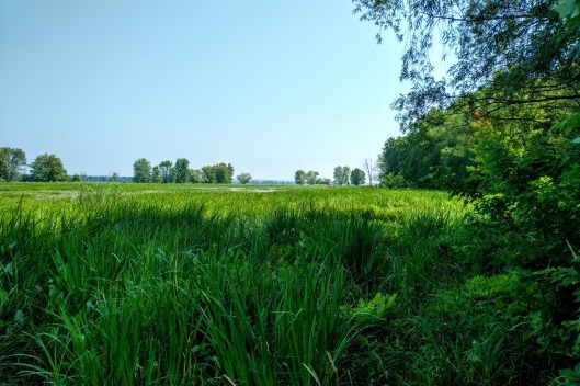 img_20190727_1059442