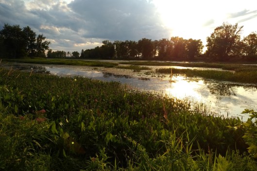 img_20190803_1928533-1