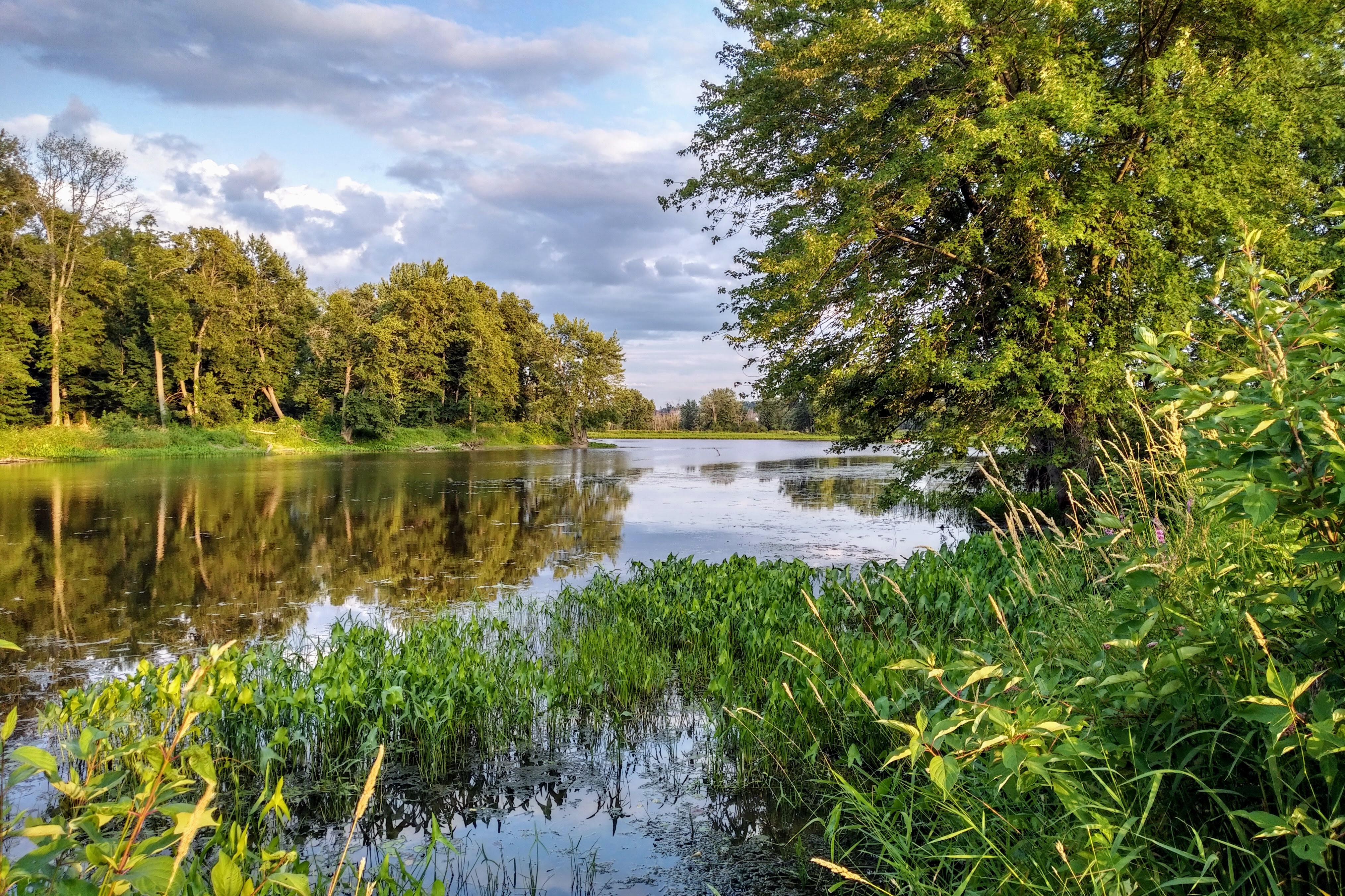 img_20190803_1929029