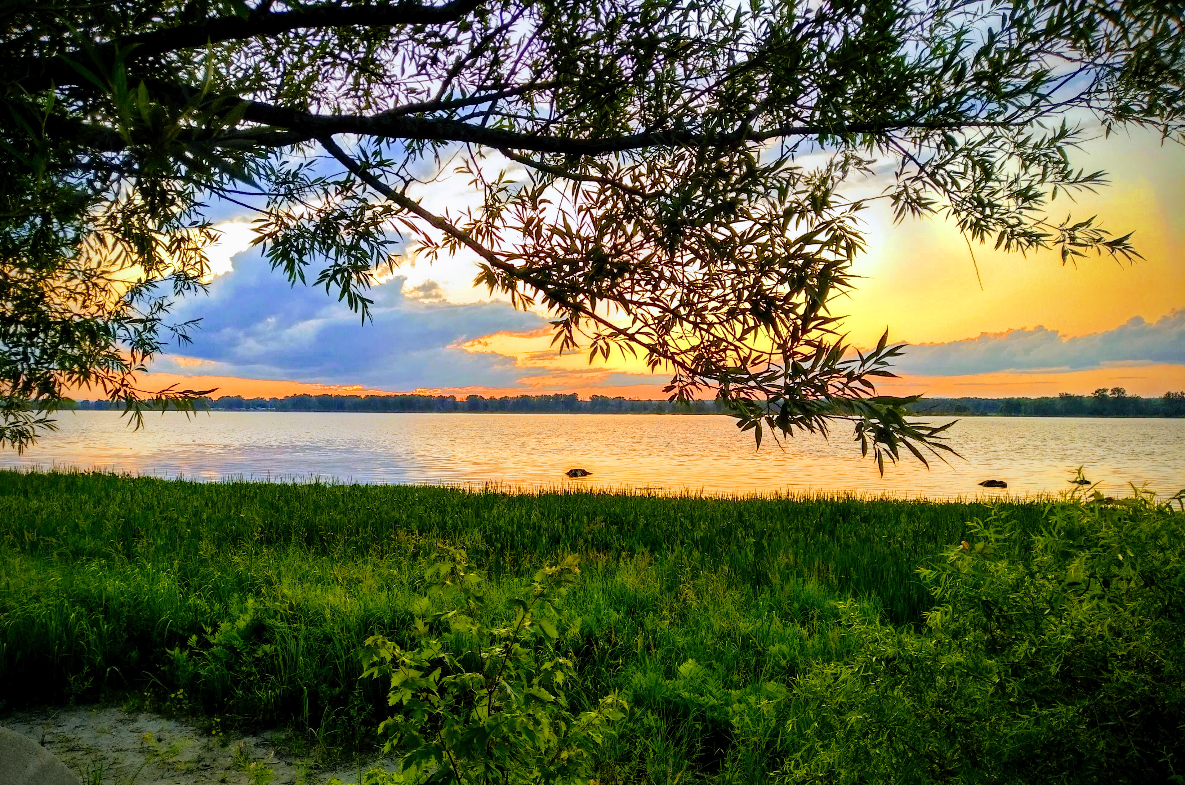 img_20190803_2004488-effects-1