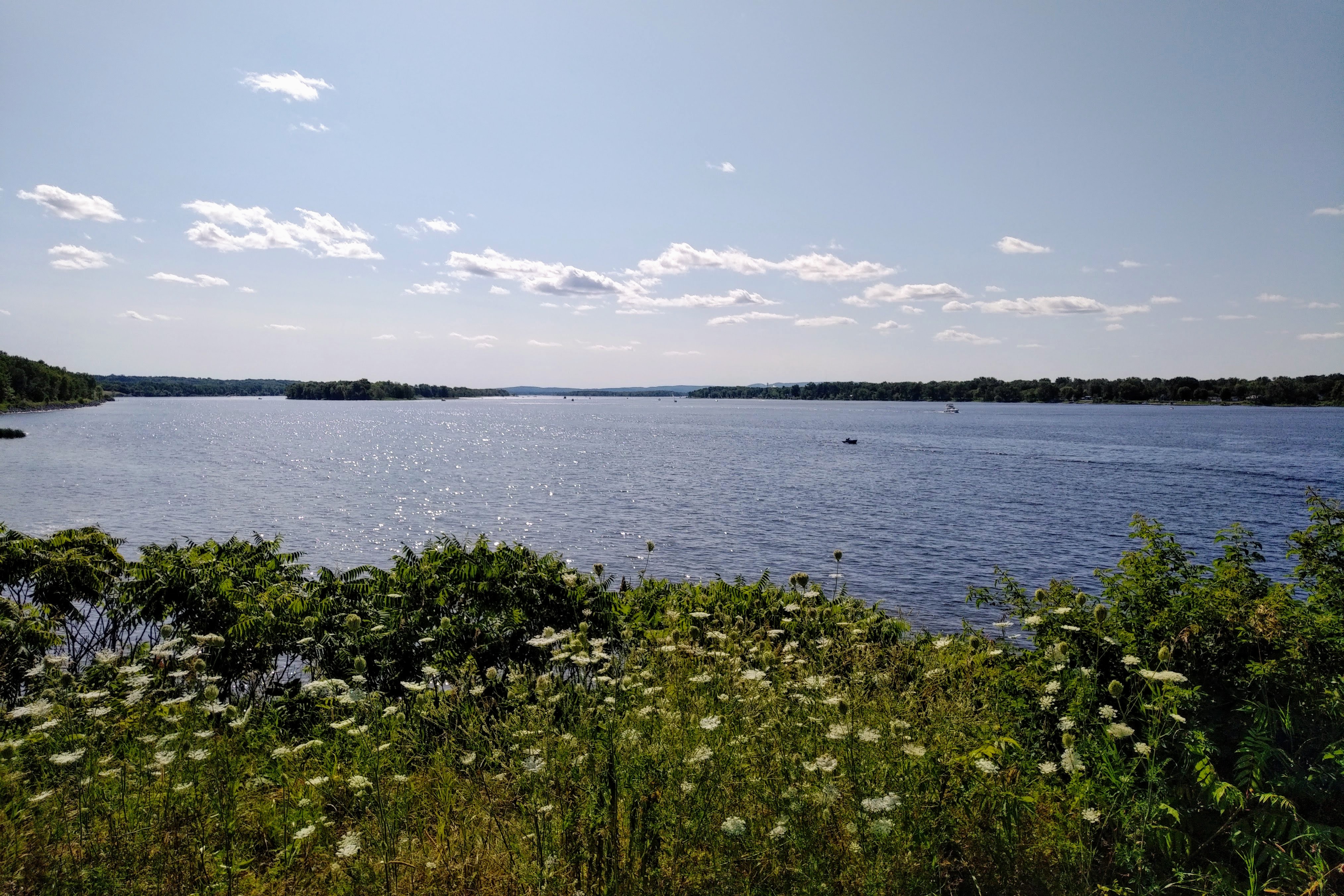 img_20190804_1616283