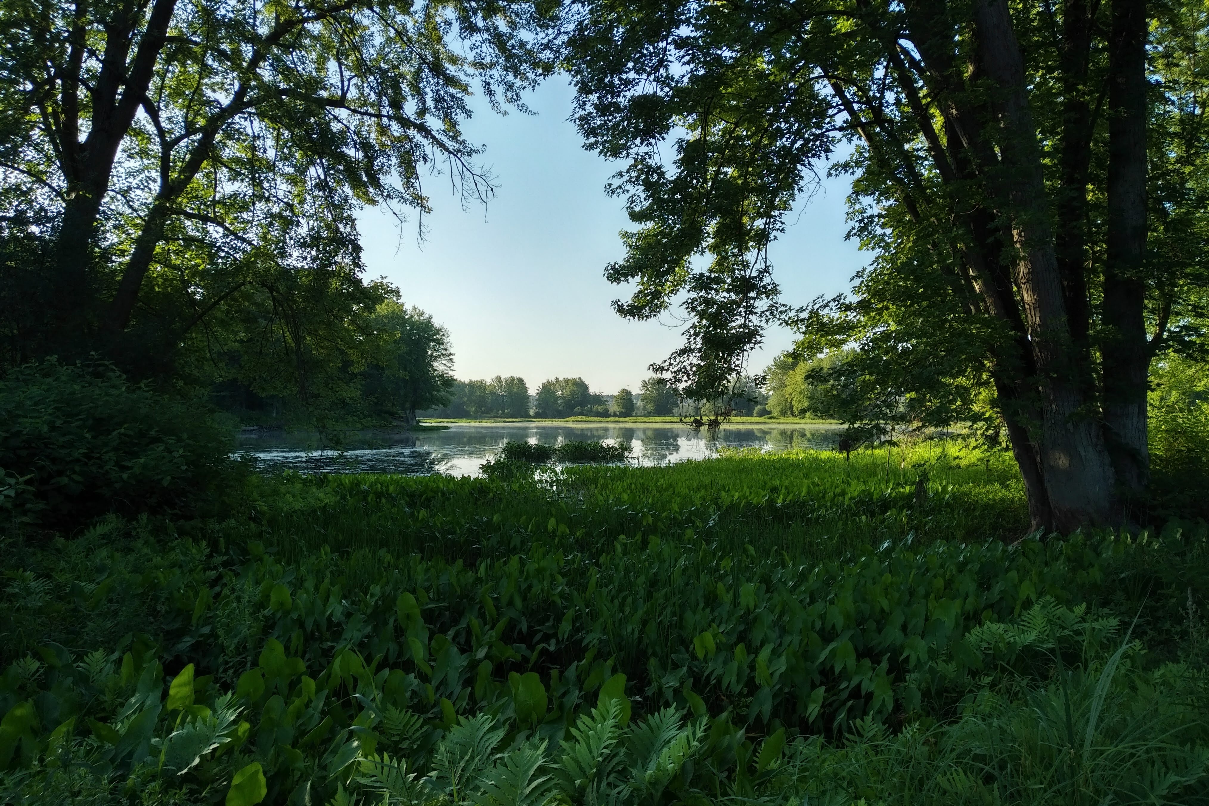 img_20190805_0710488