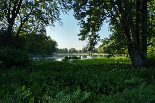 img_20190805_0710488