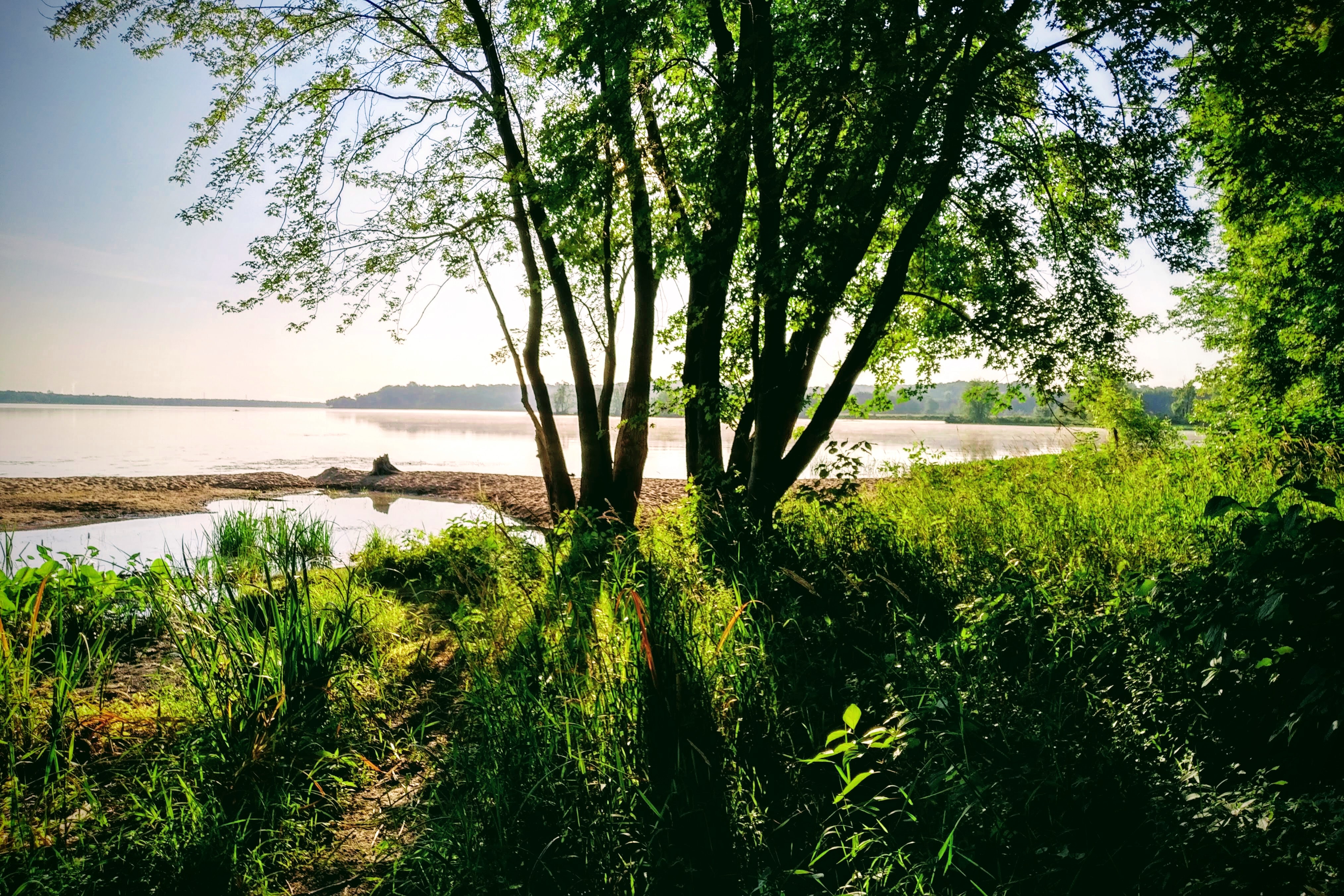 img_20190805_0718028-effects