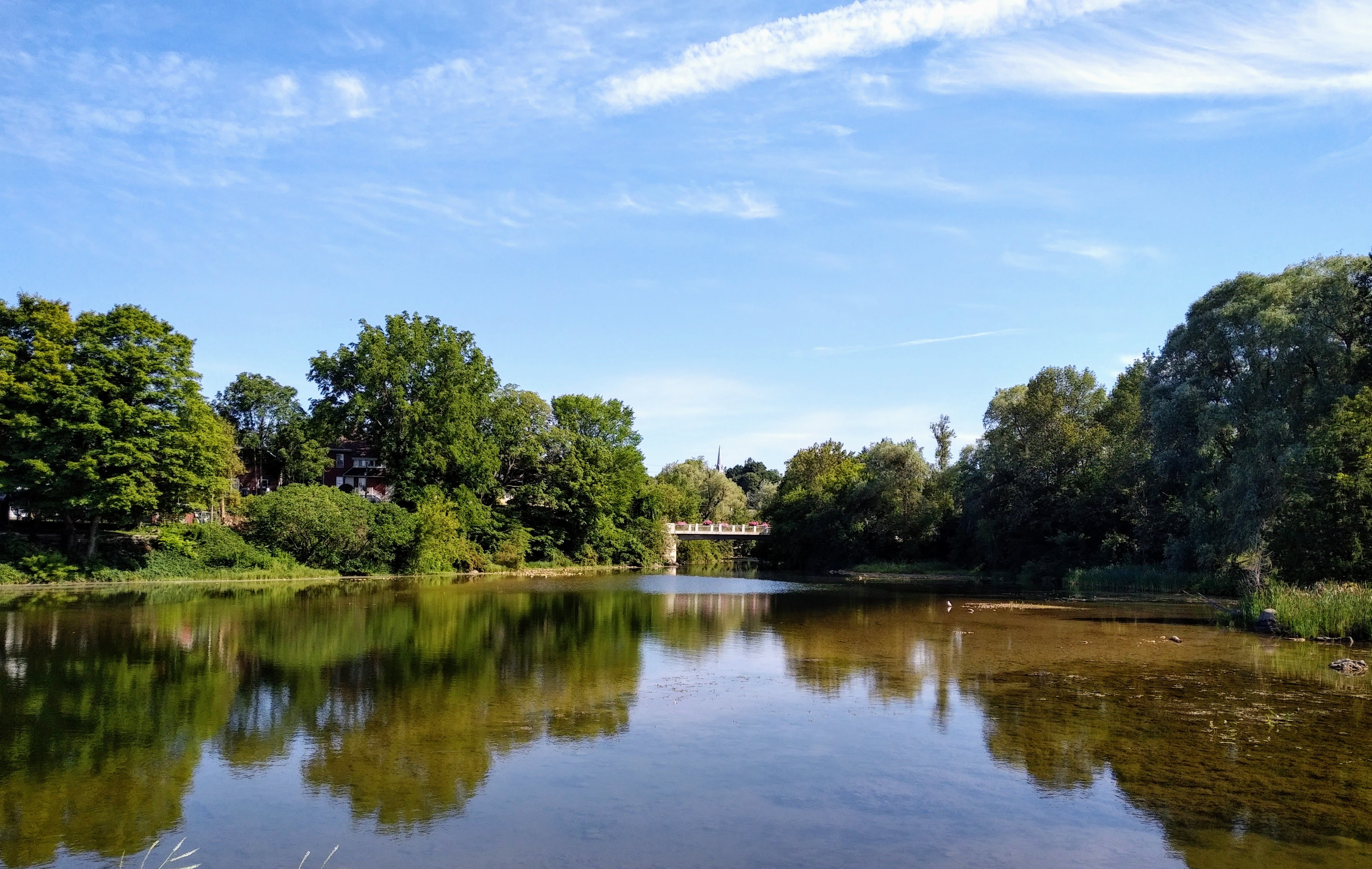 img_20190811_1015301