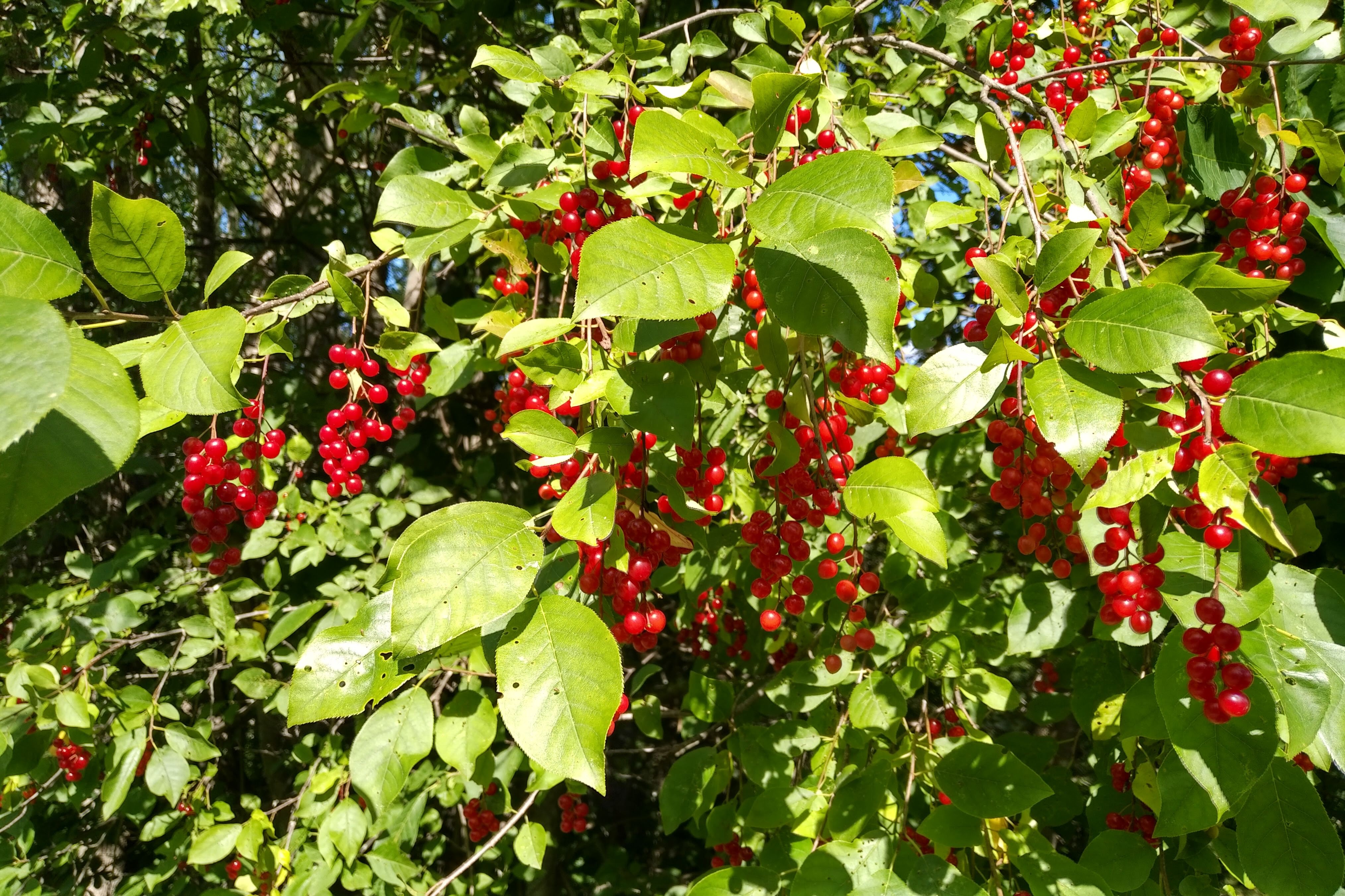 img_20190815_1557074