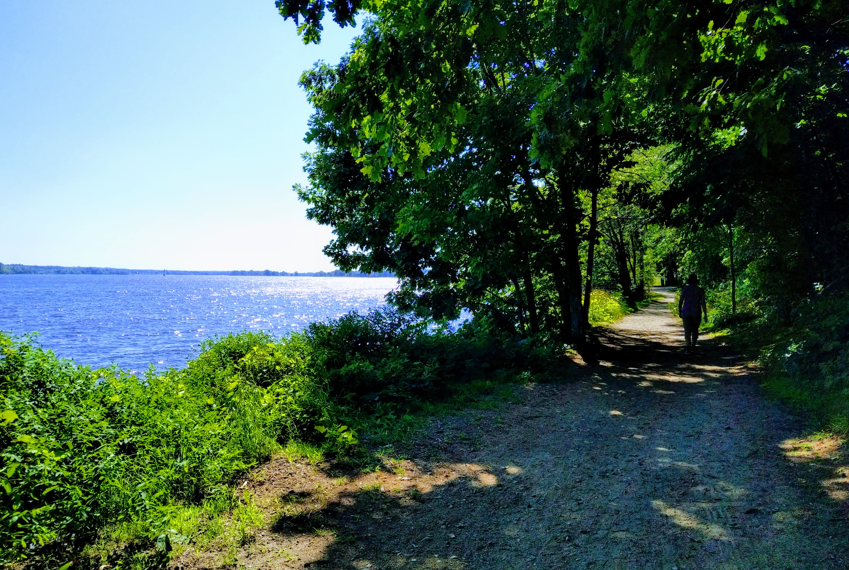 img_20190820_1528242