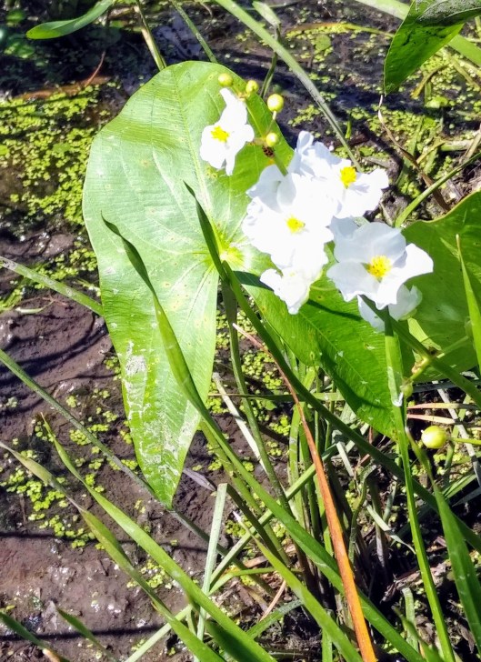 img_20190824_1421469-1