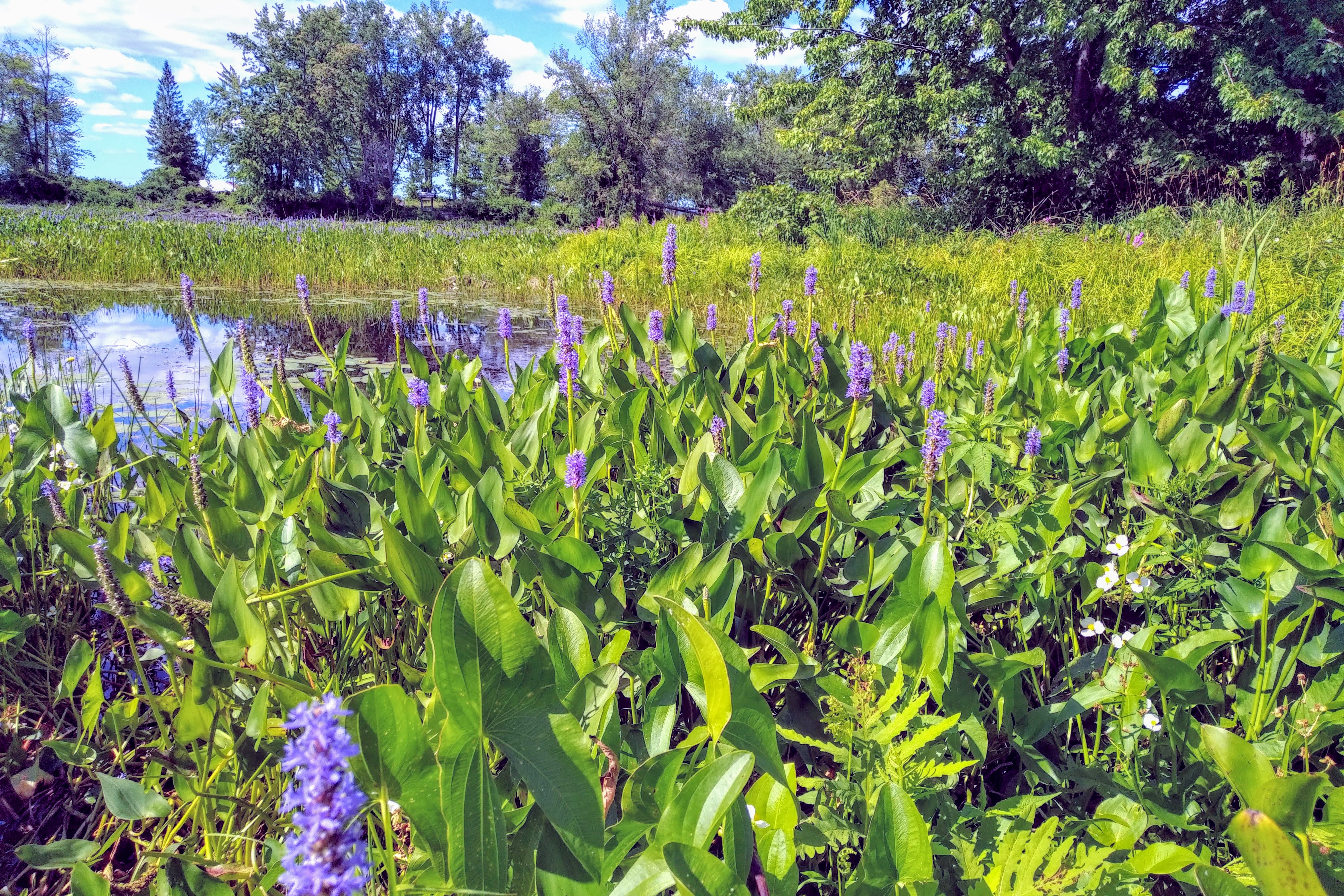 img_20190824_1503559