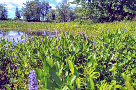 img_20190824_1503559