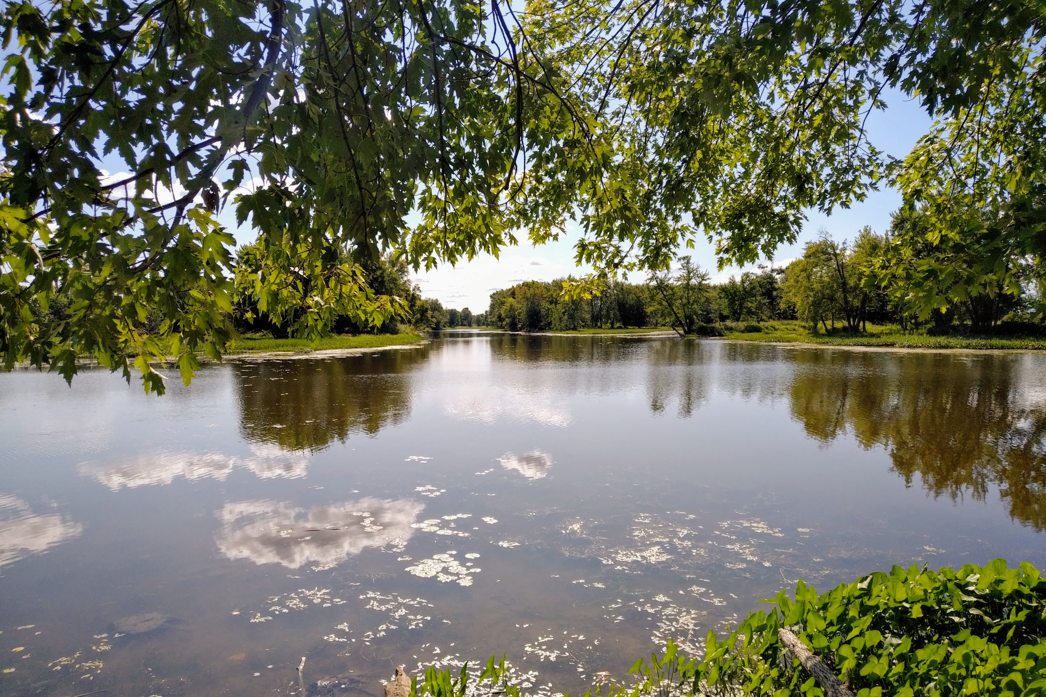 img_20190824_1529338