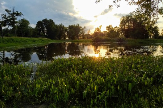 img_20190803_1934234