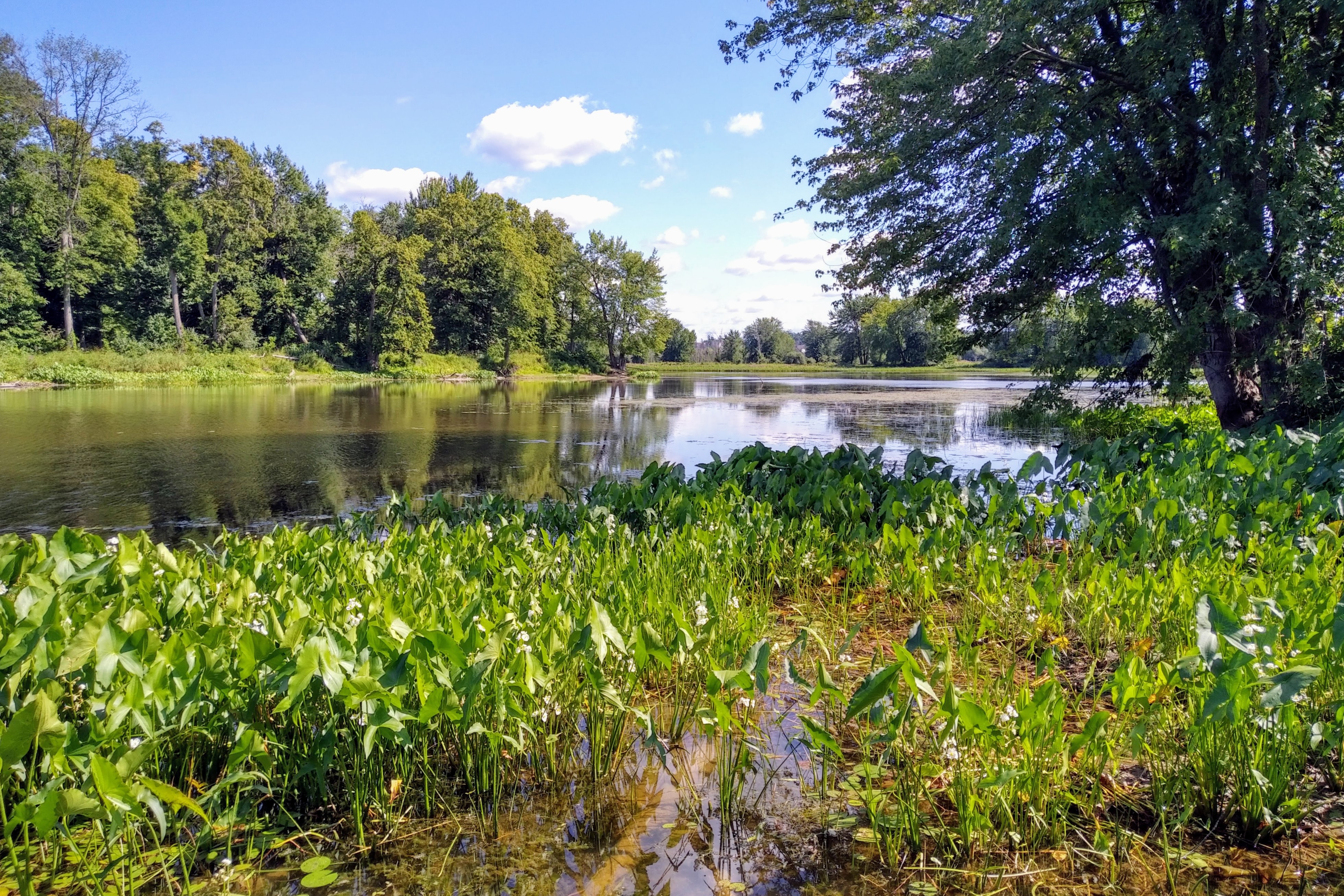 img_20190824_1504547-1