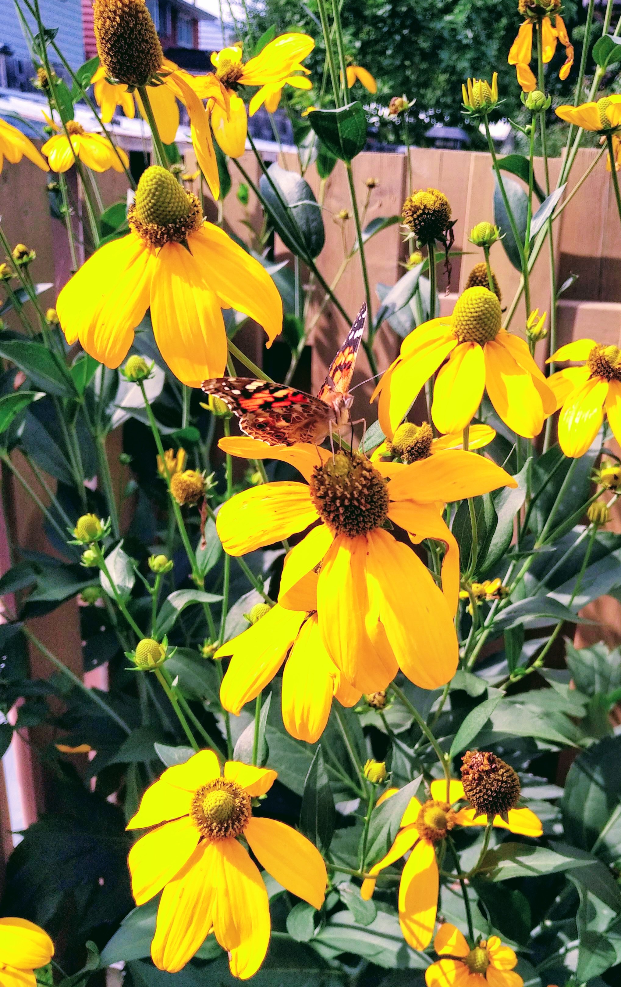 img_20190903_1414491