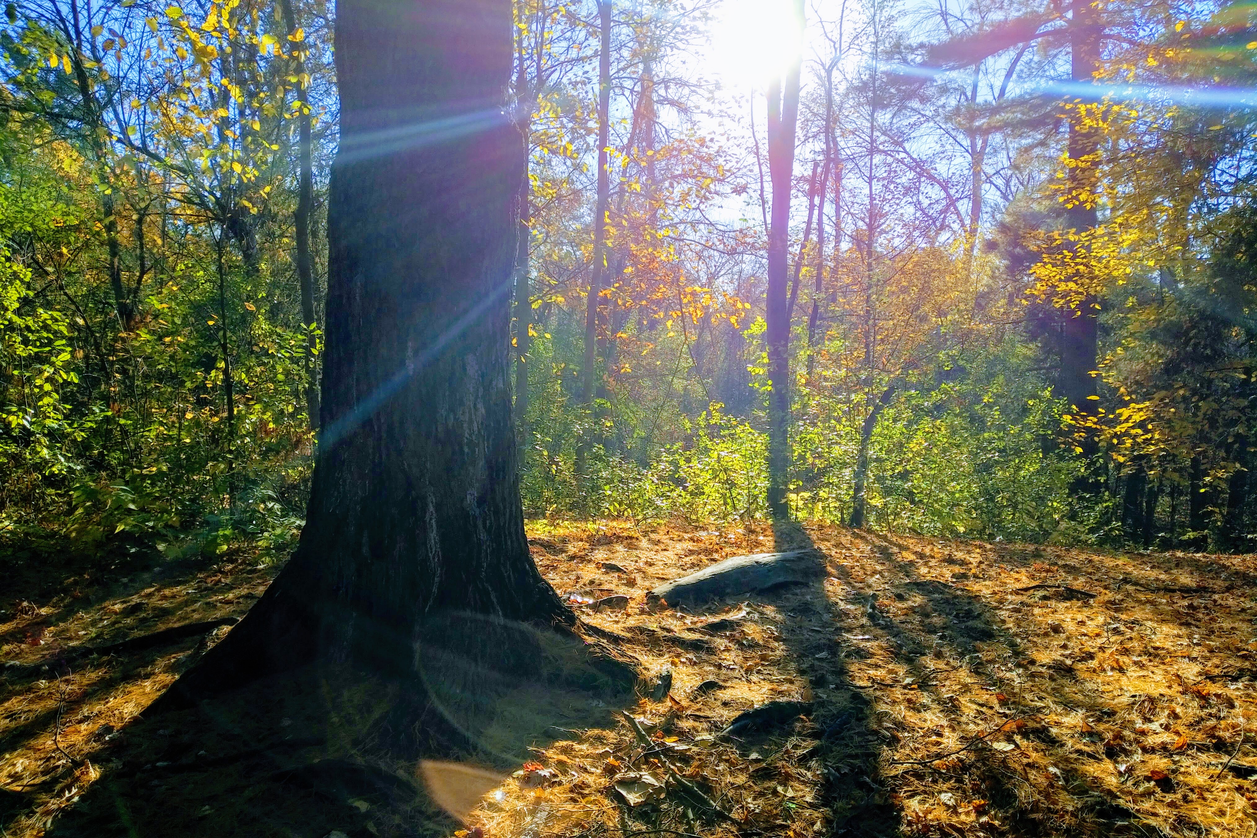 img_20181019_0922528