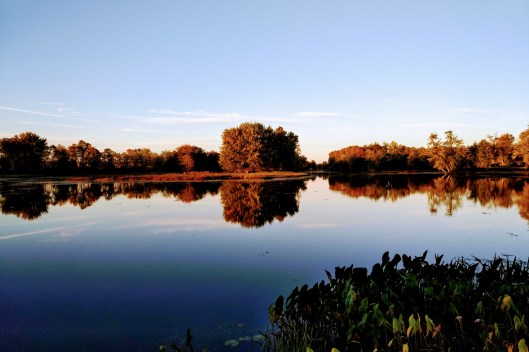 img_20190929_0716289