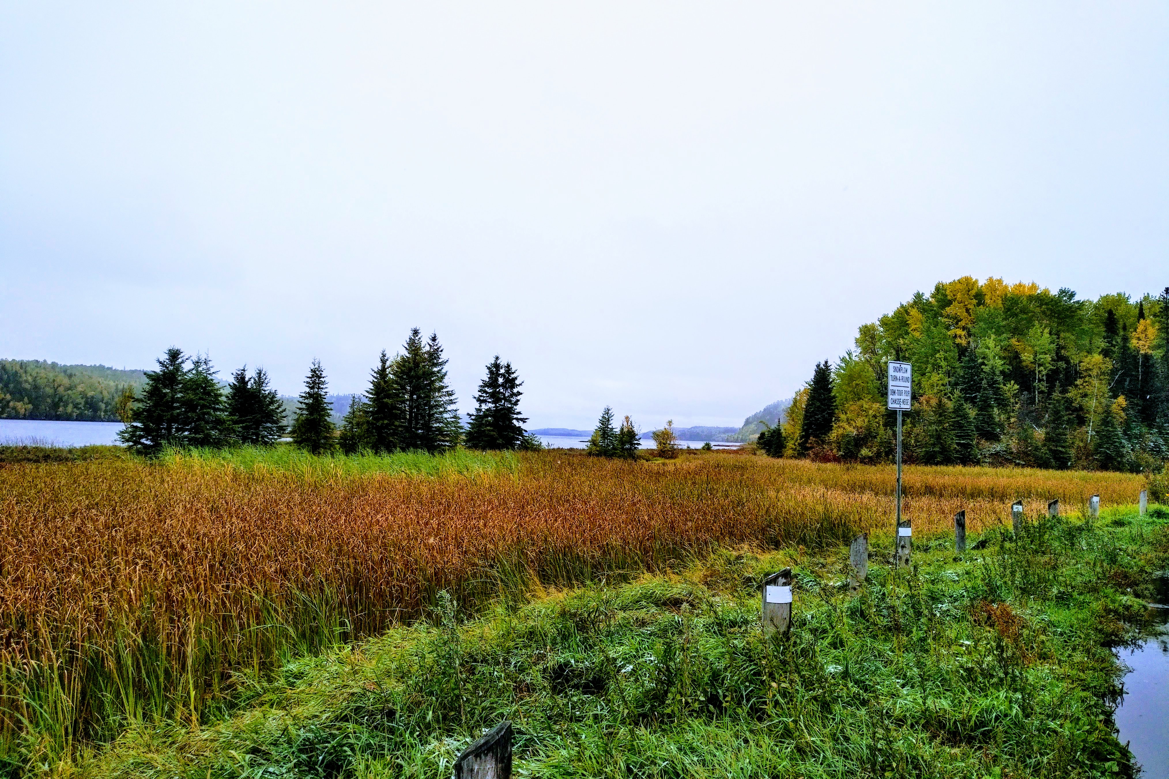 img_20191003_1227175