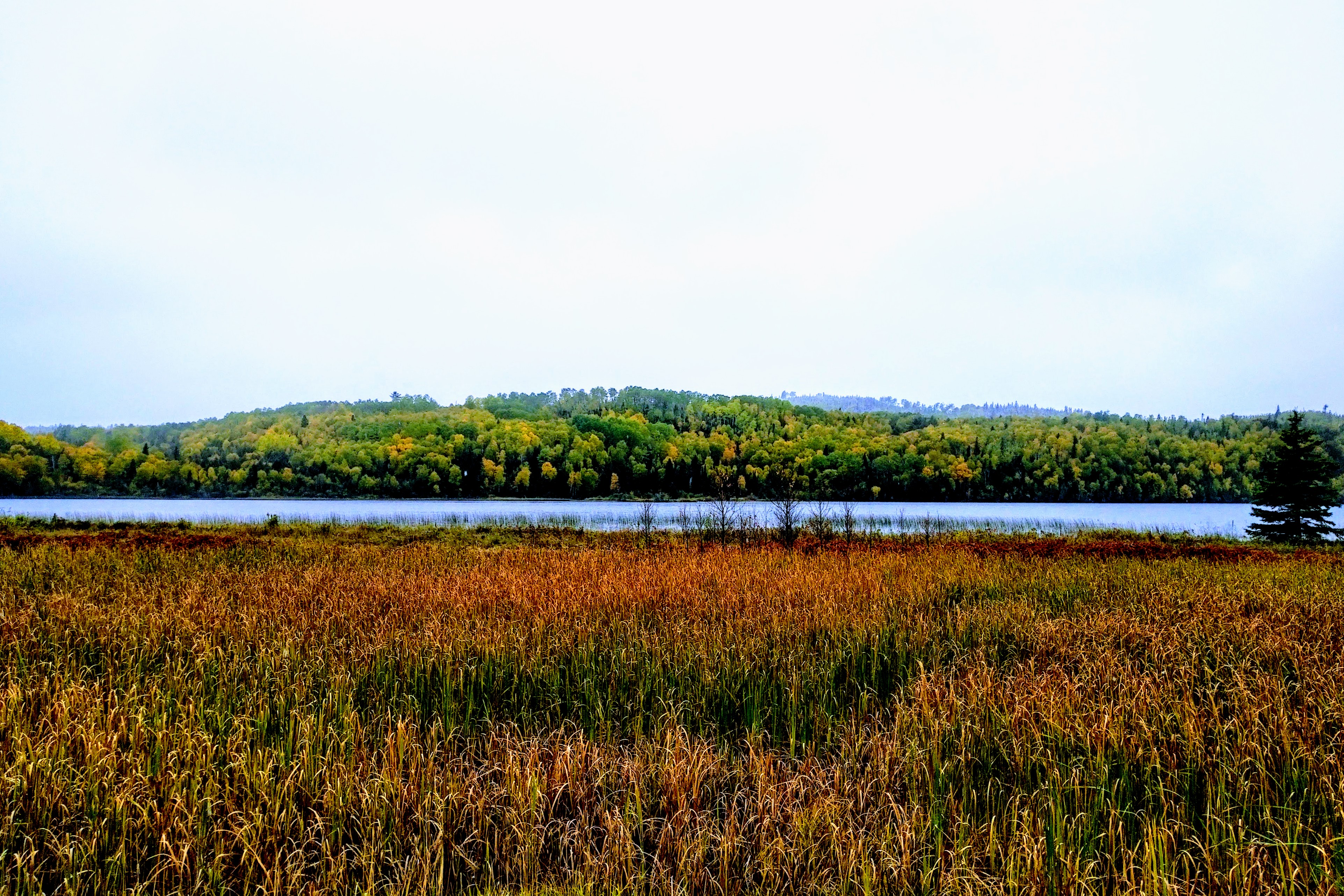 img_20191003_1227248