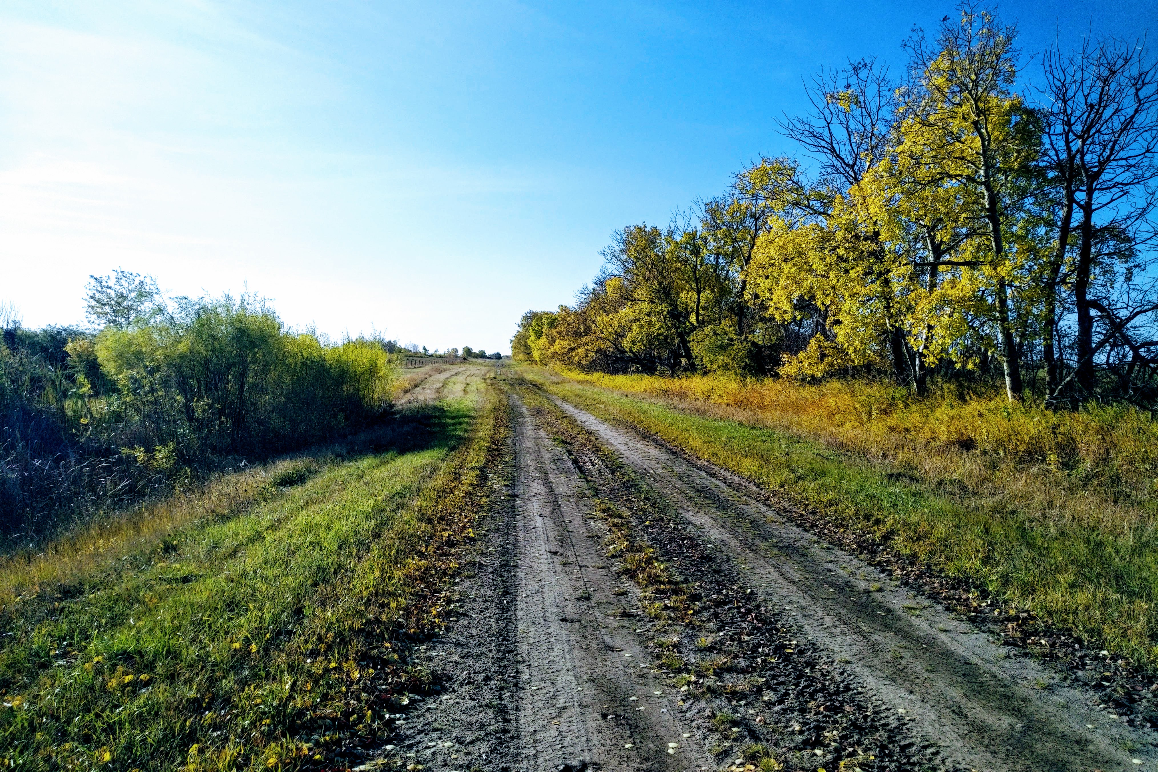 img_20191007_1029210