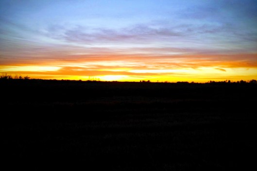 img_20191008_0750318-effects-1