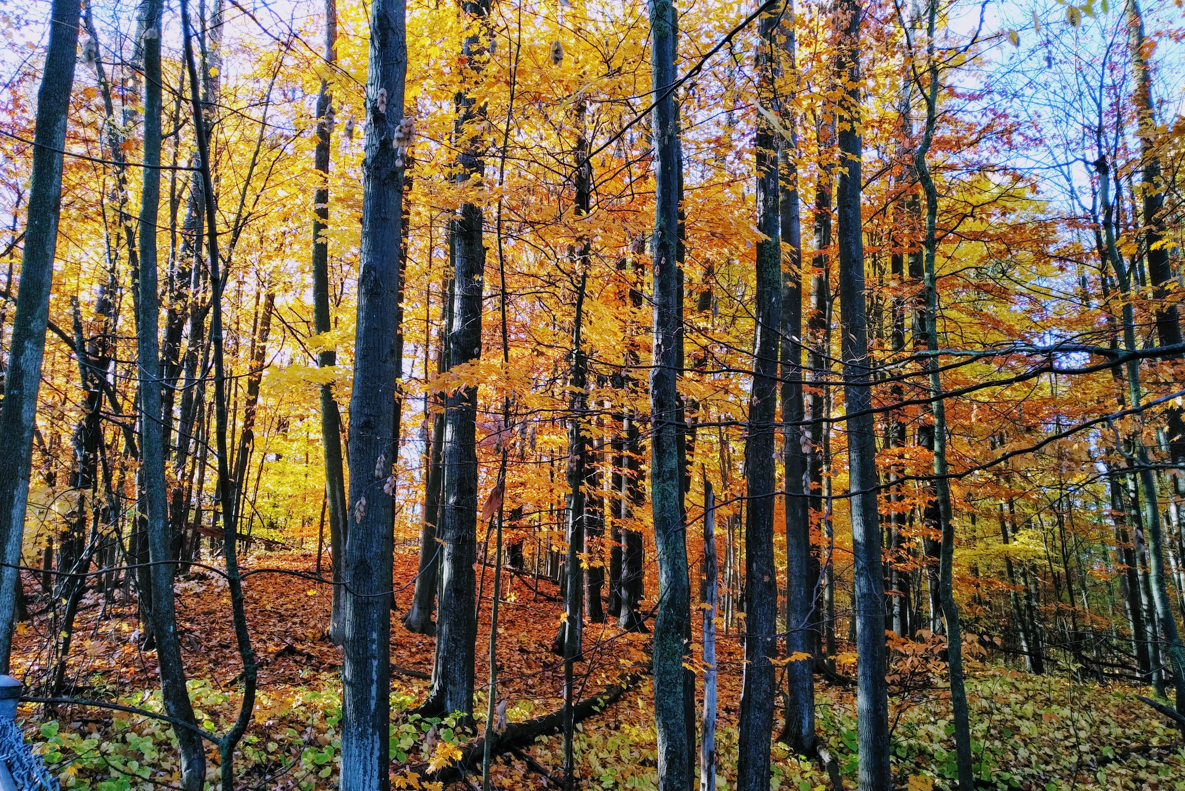 img_20191023_0904585