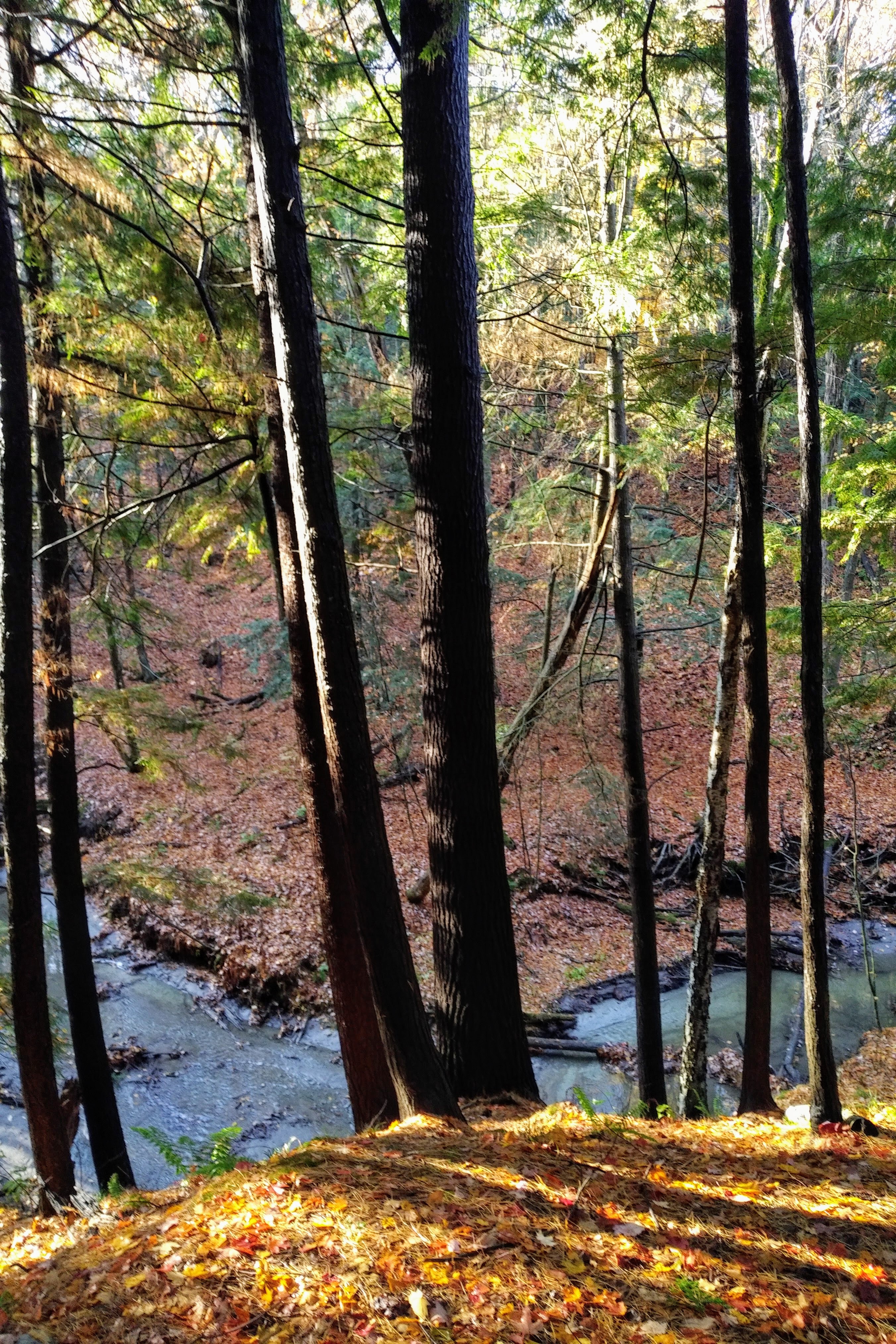 img_20191023_0912104