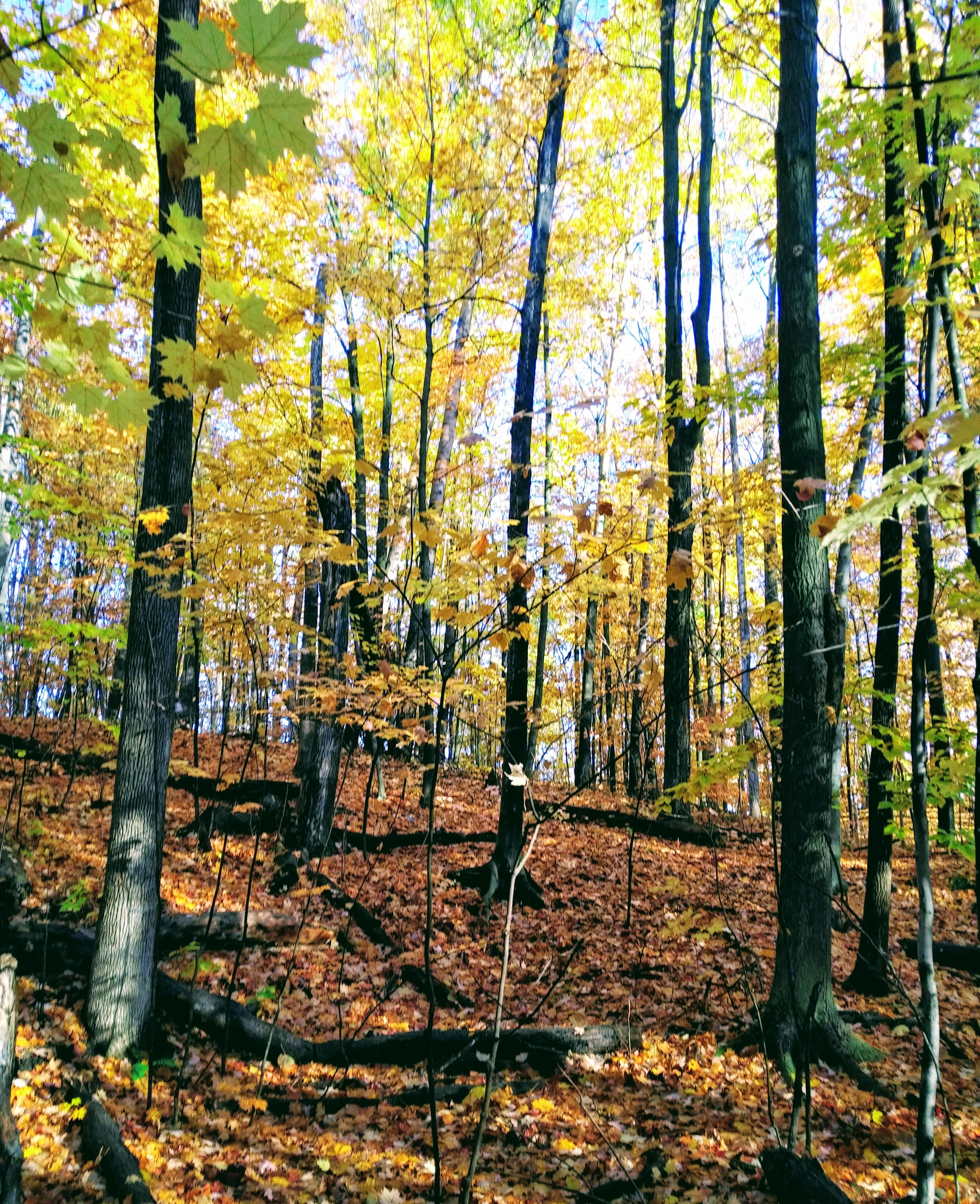 img_20191023_0916527-1