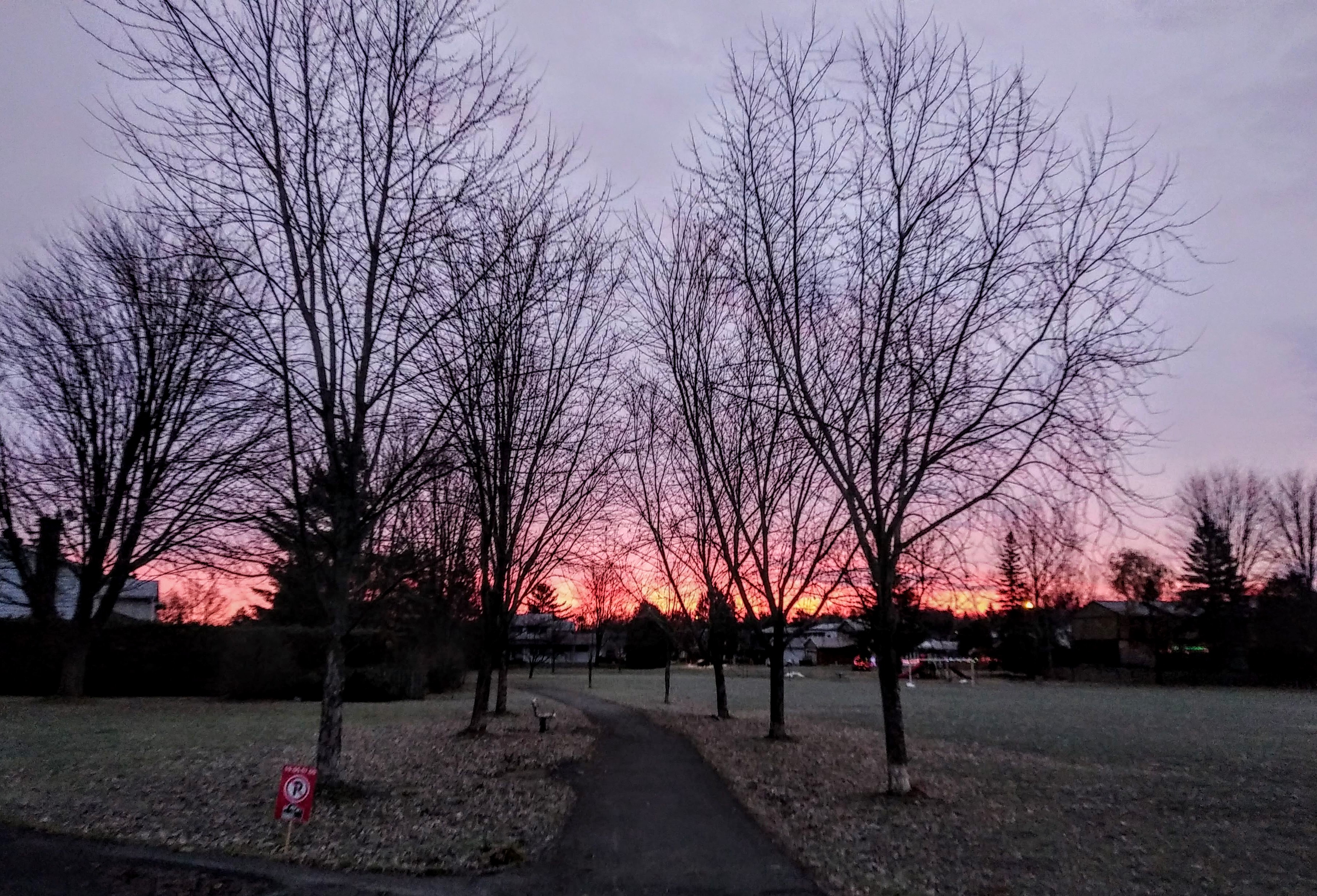 img_20191127_0701025