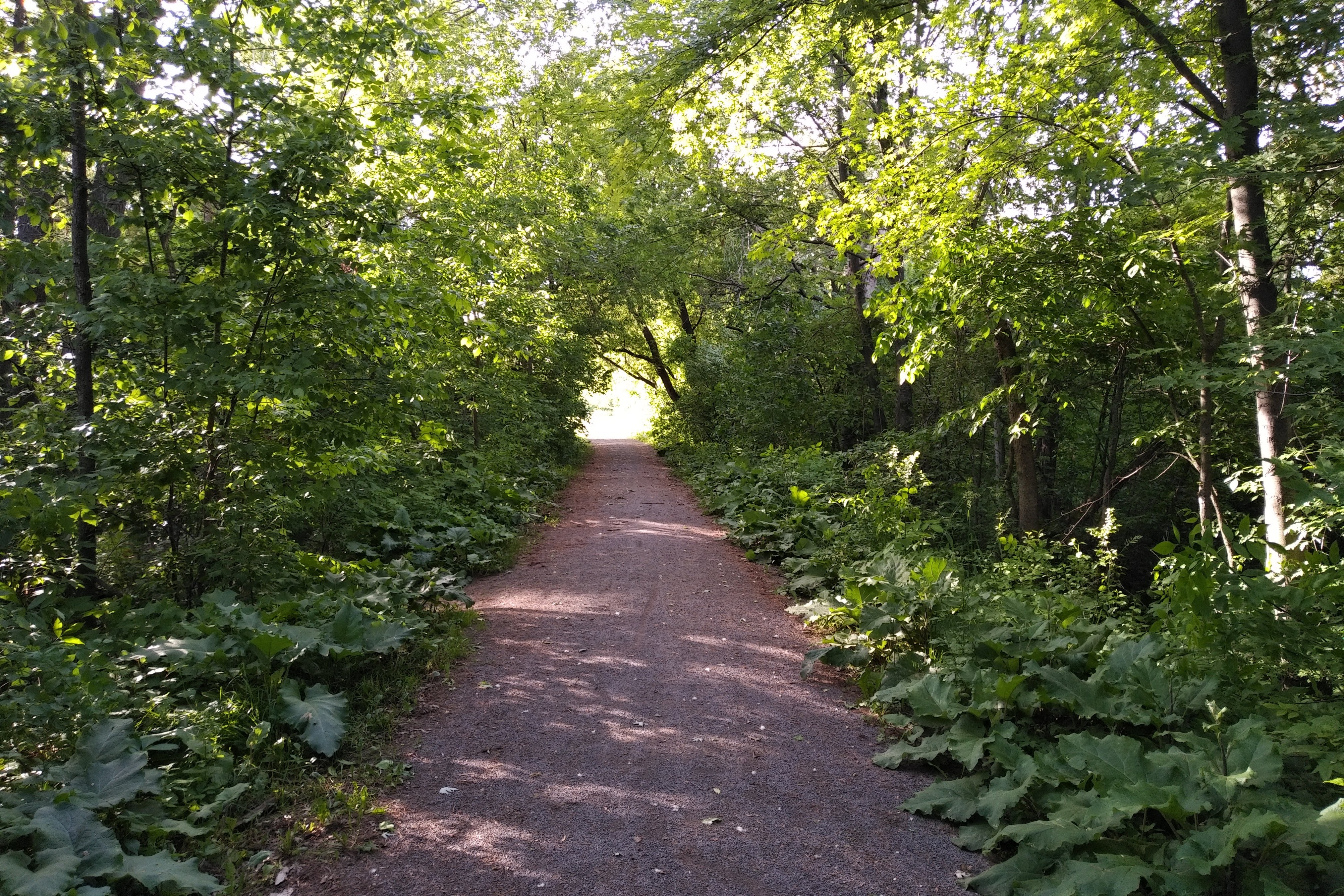 img_20190621_1853133