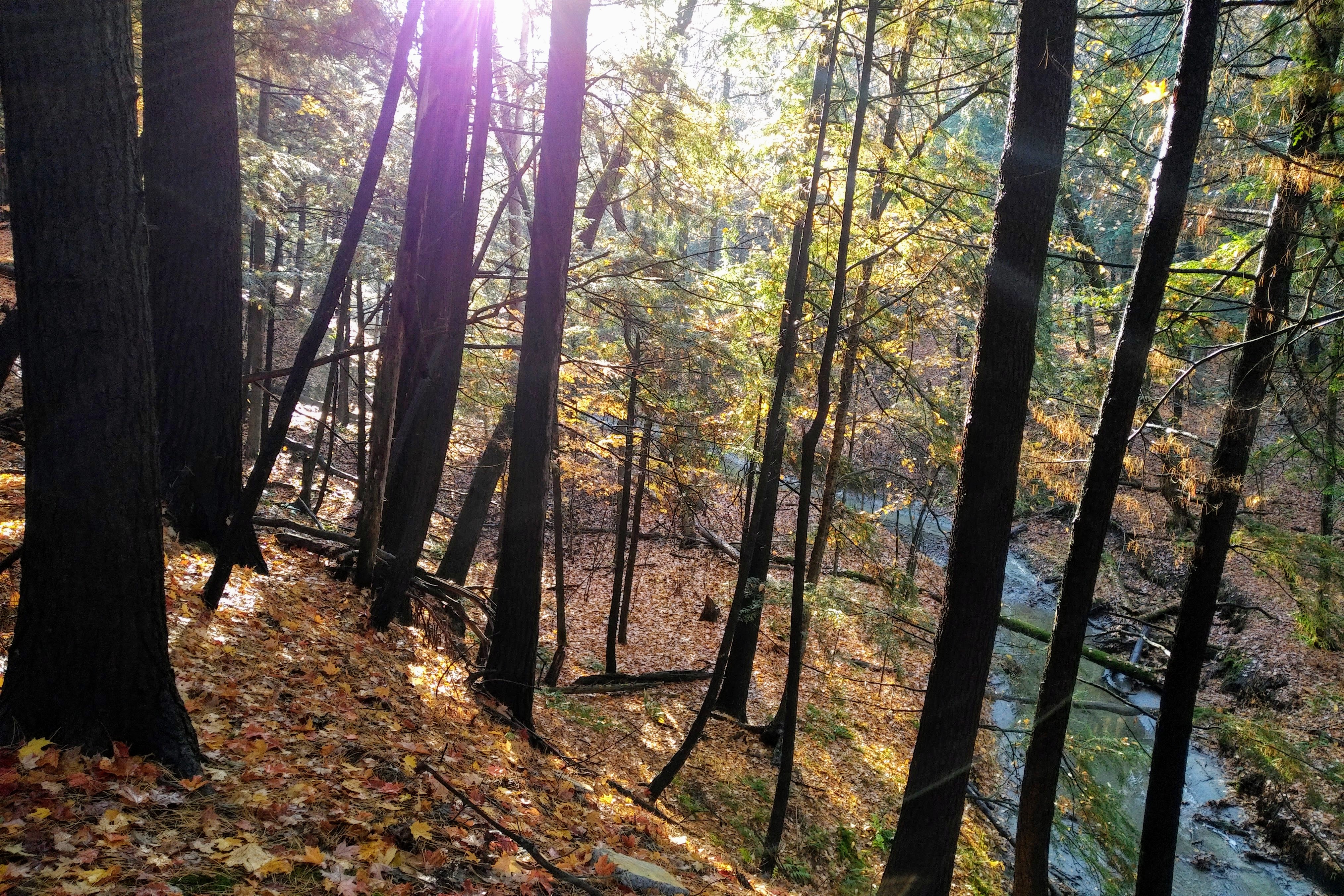 img_20191023_0912333