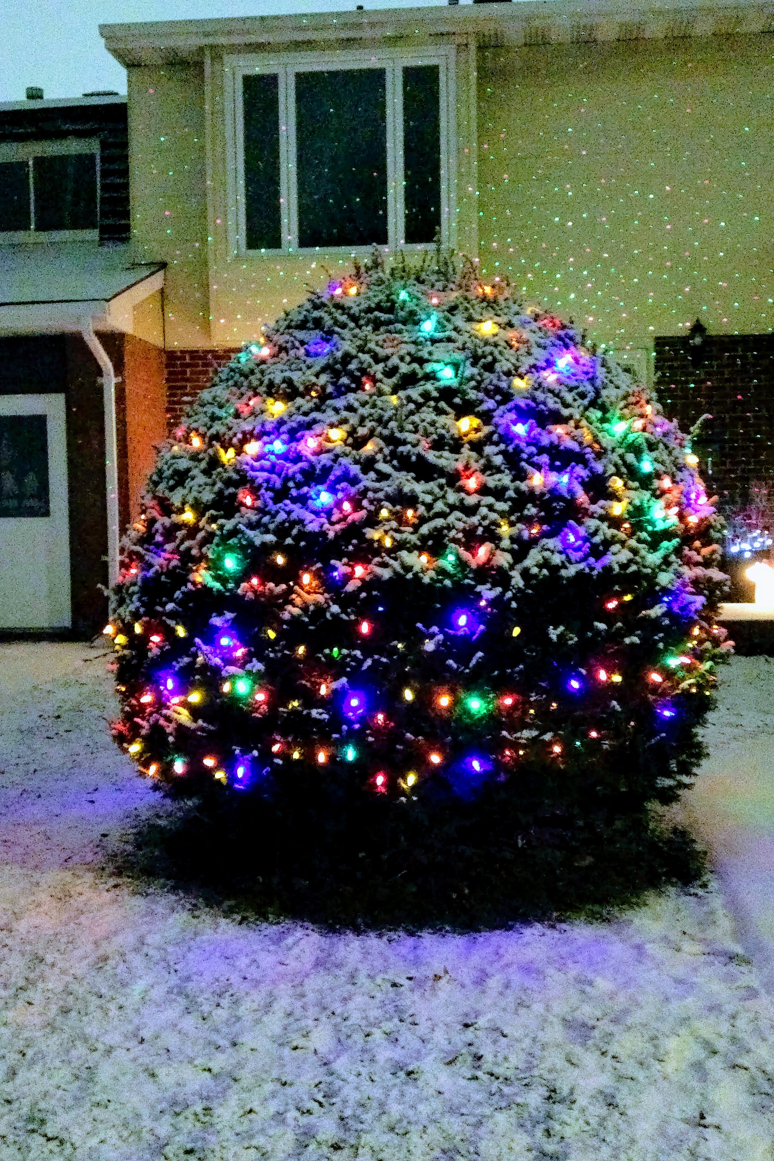 img_20191204_2025006