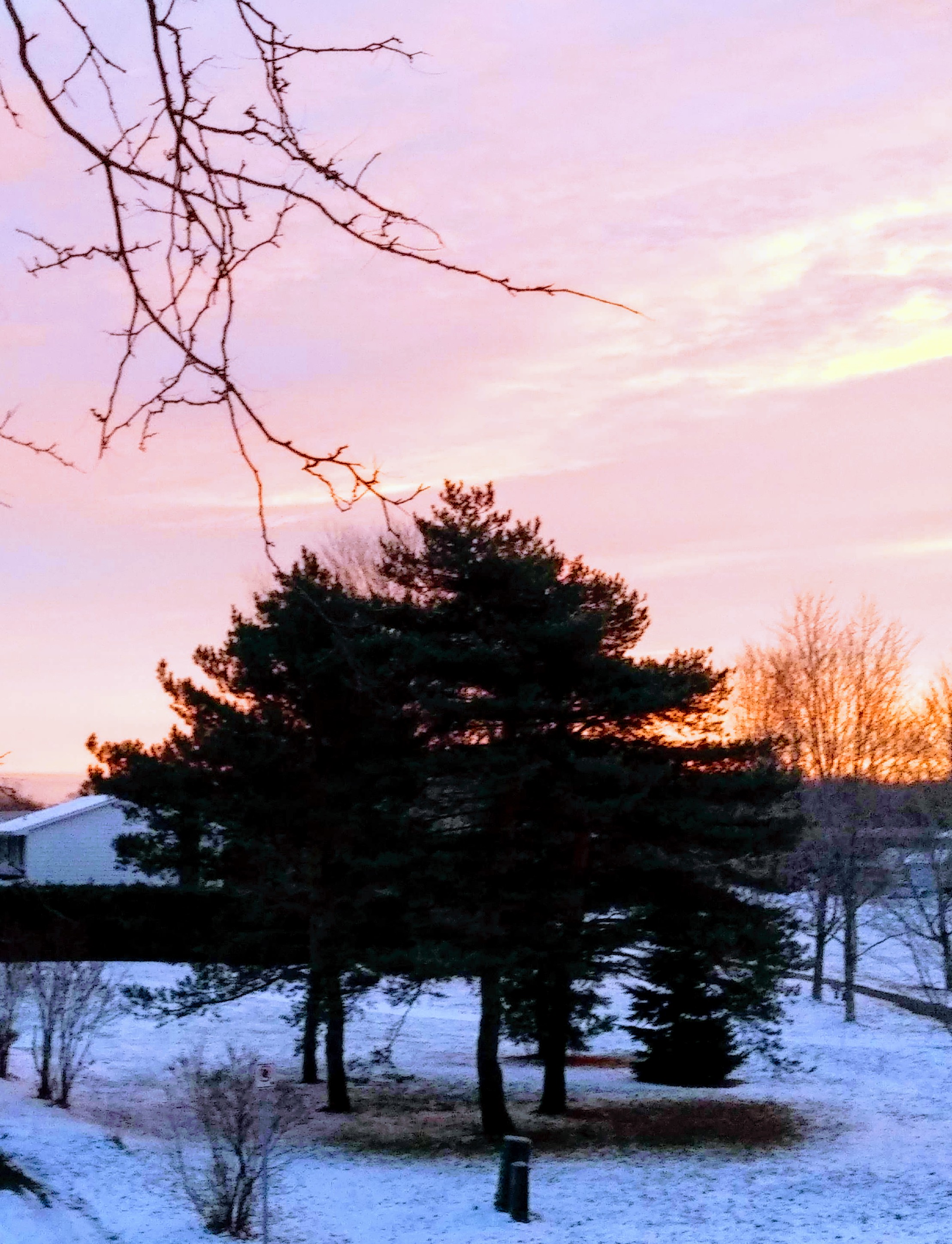 img_20191208_0724548