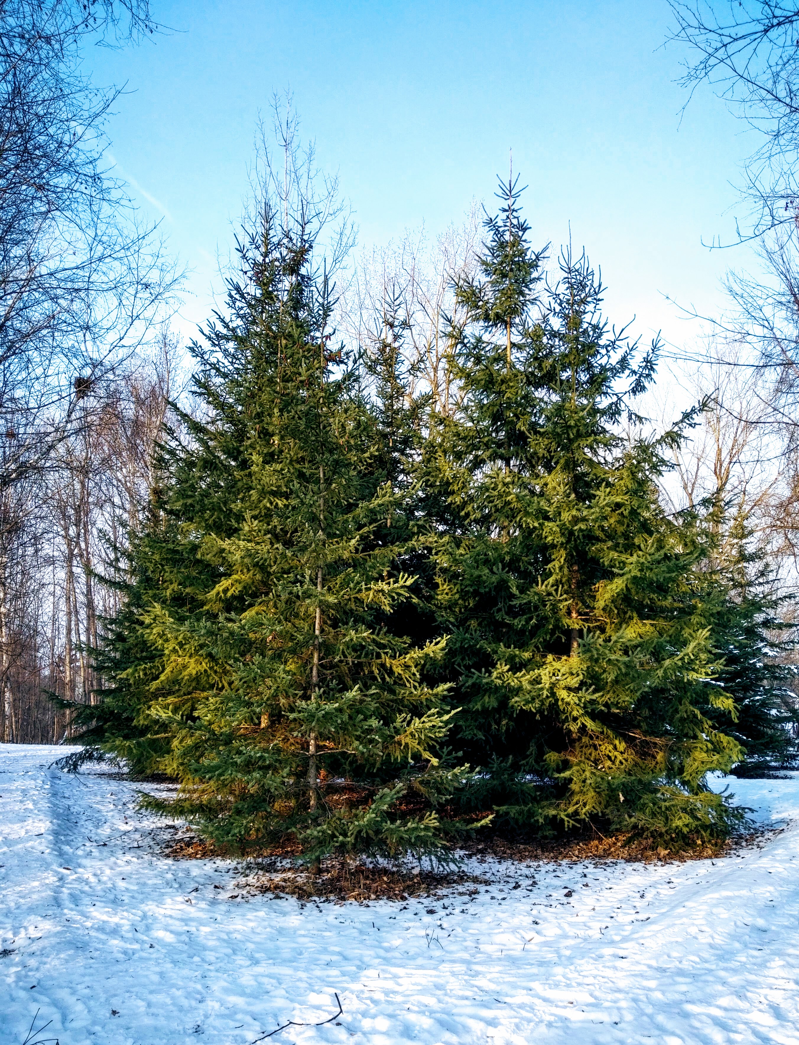 img_20191222_1457299-1