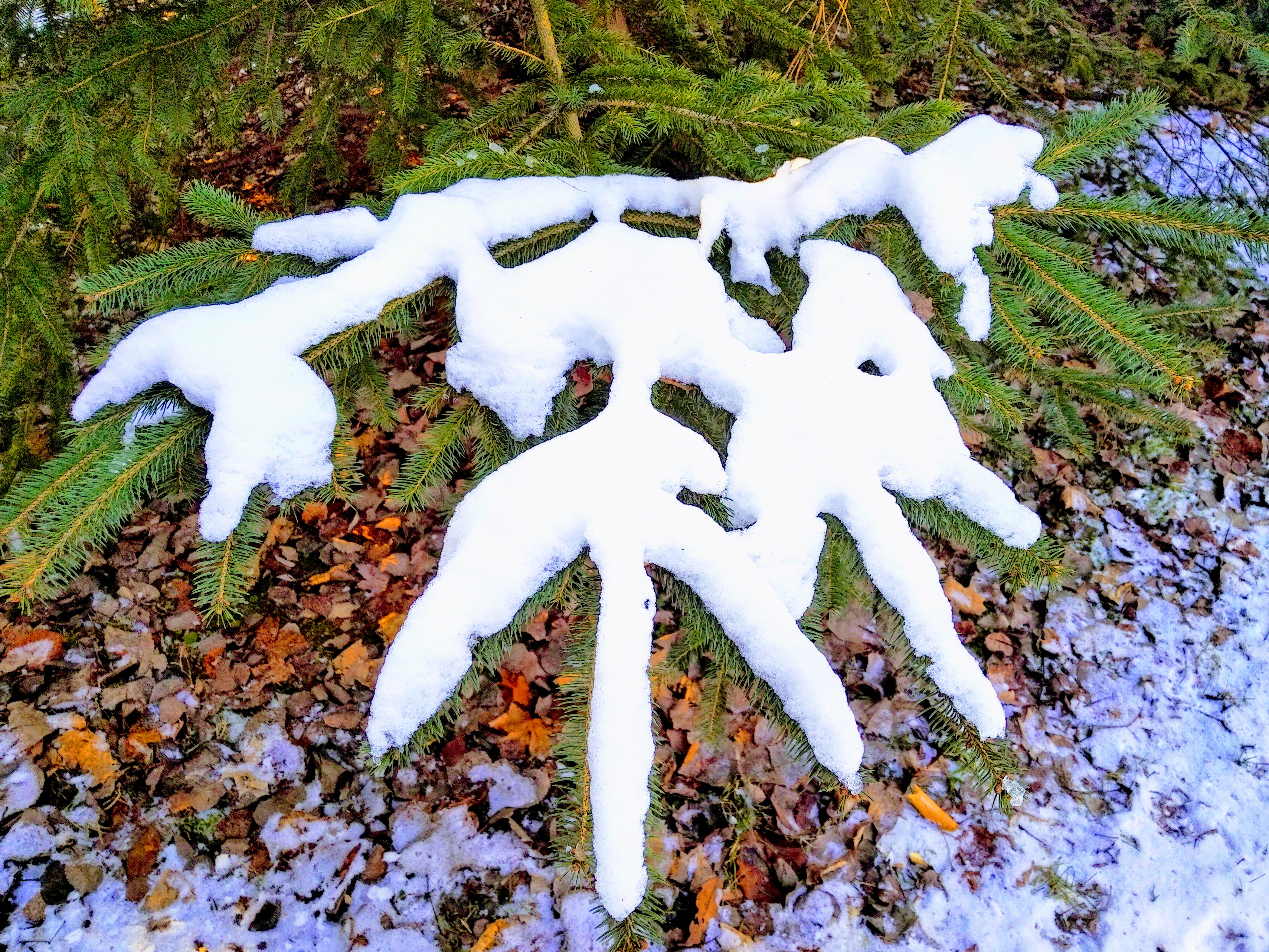 img_20191222_1459339