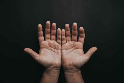 photo of person s open hands