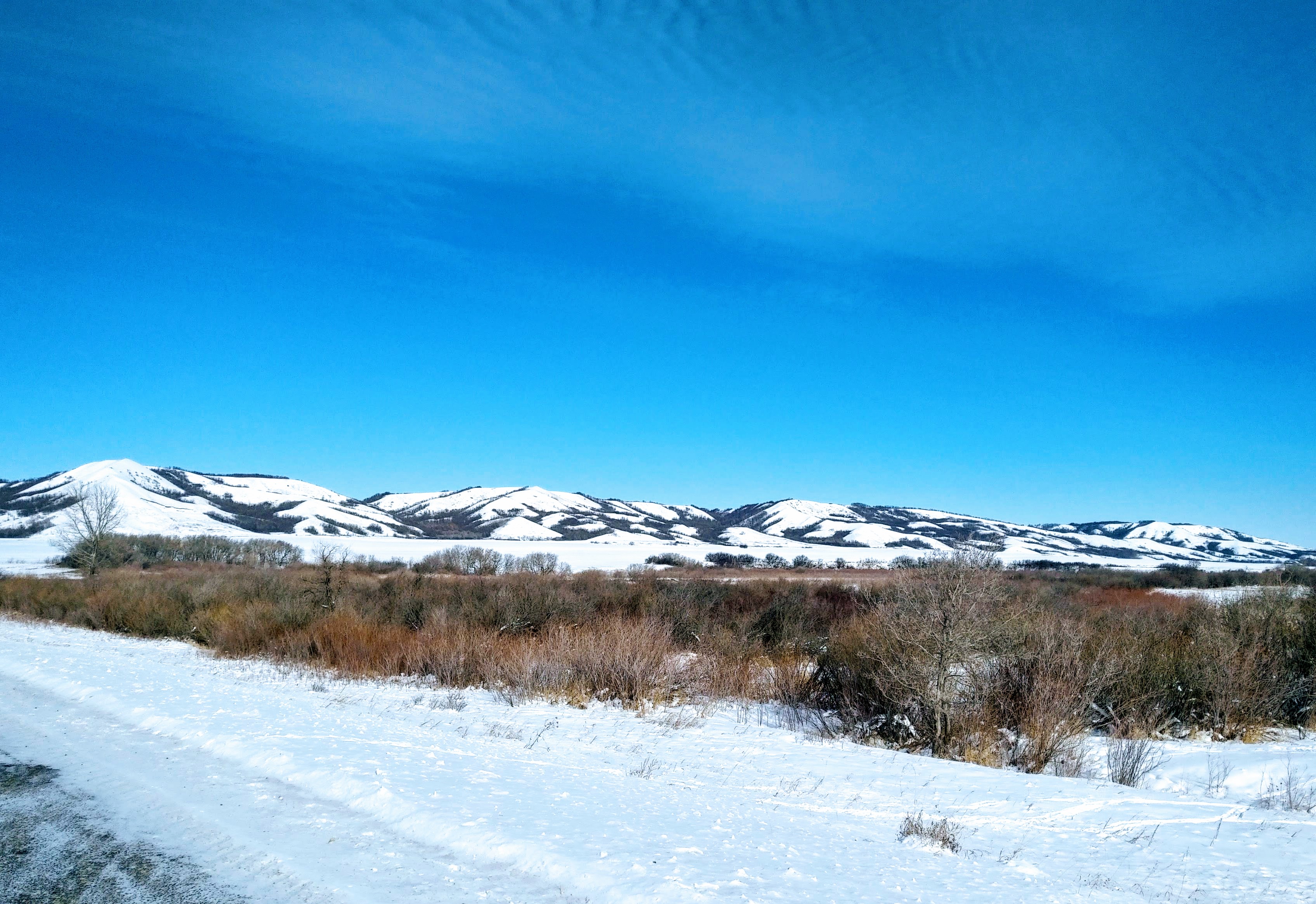 img_20190218_1401586