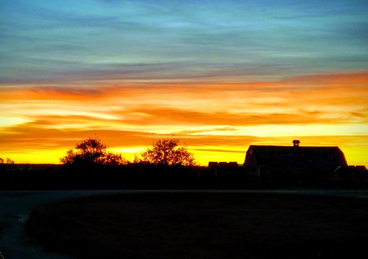 img_20191008_0741537-effects