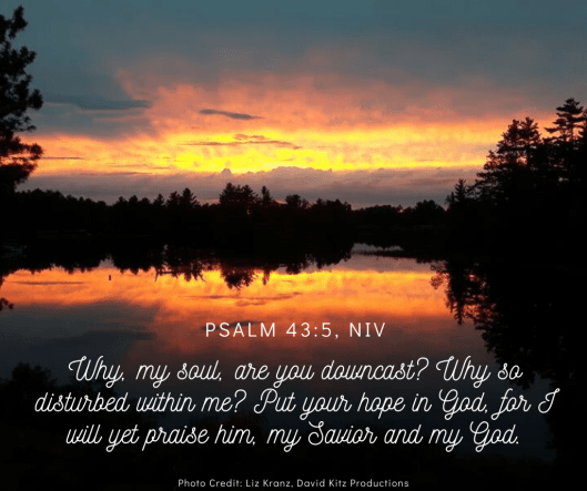 Psalm 43-5